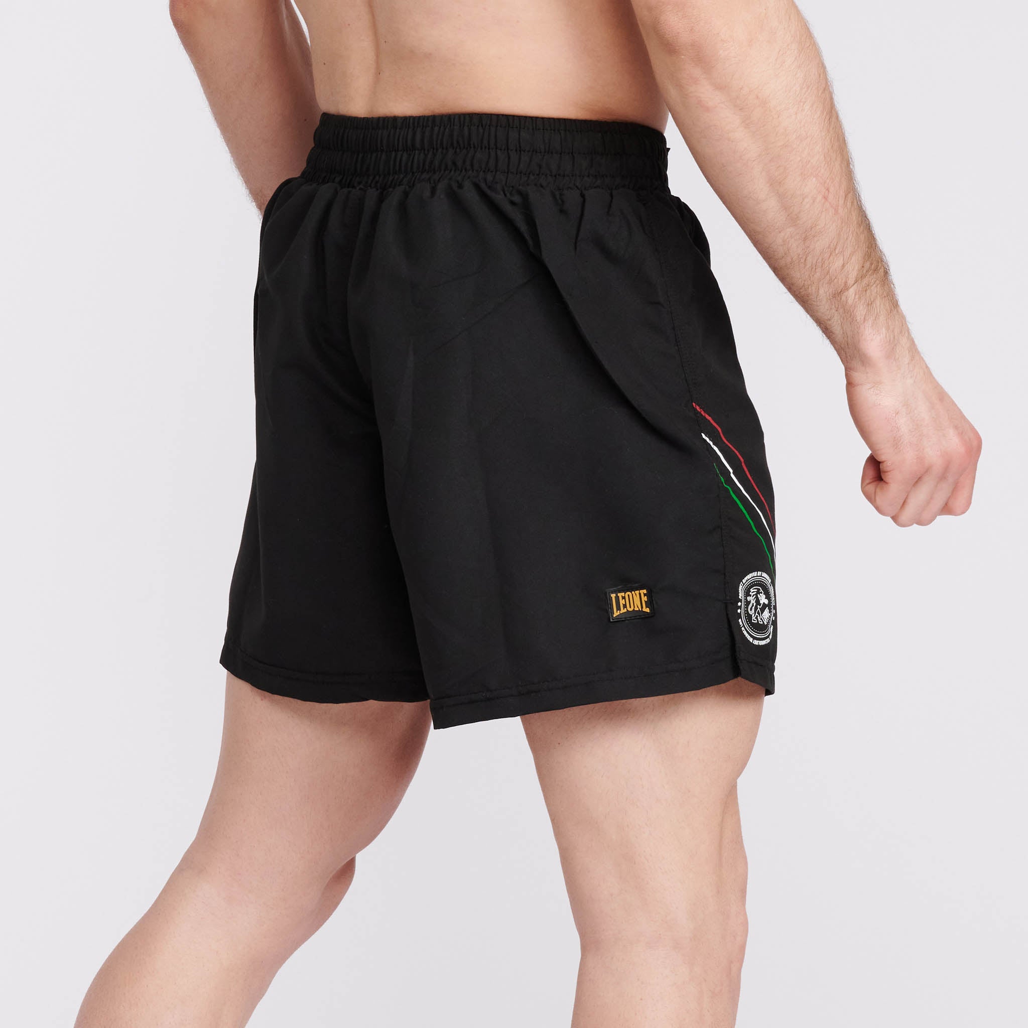 MMA SHORTS FLAG