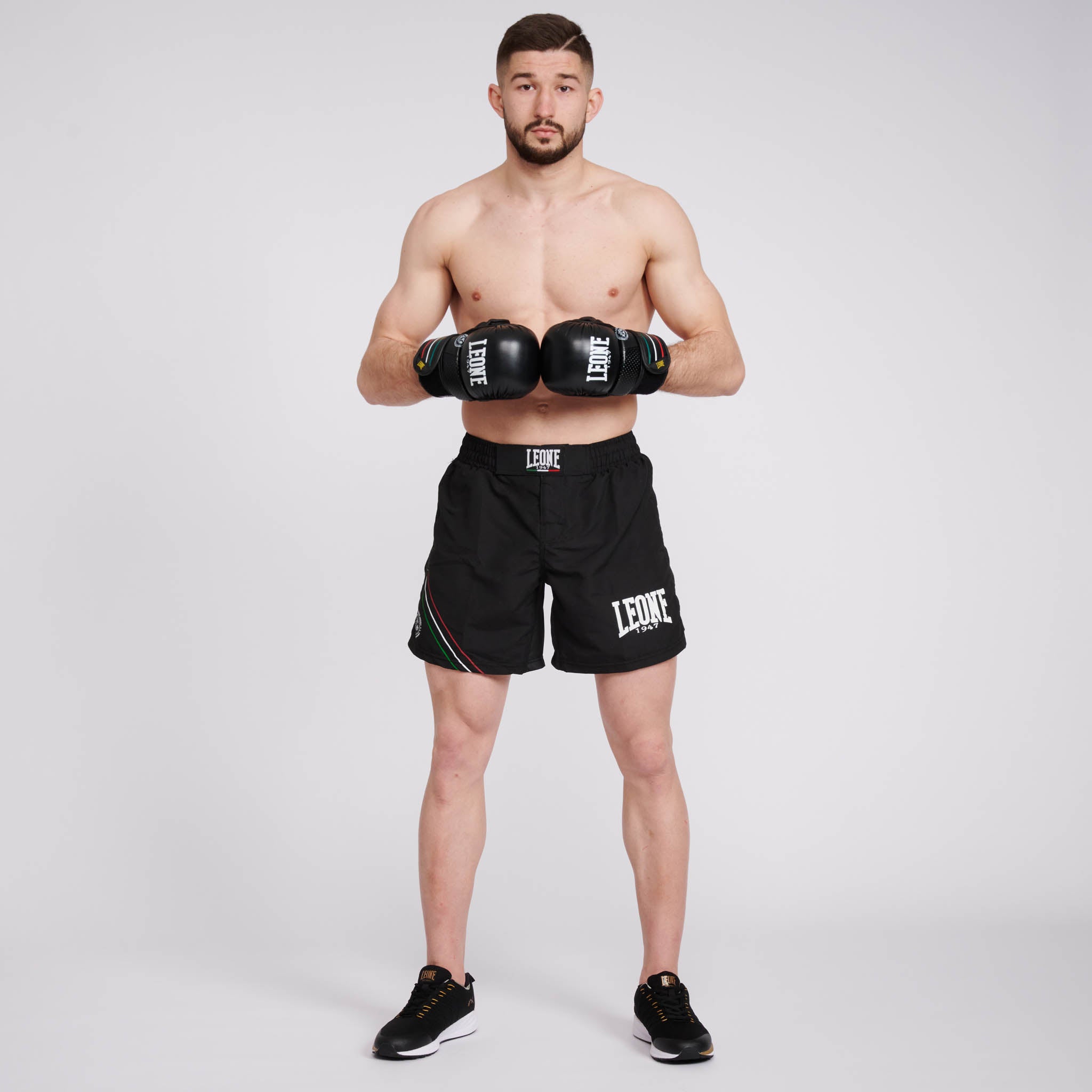 MMA SHORTS FLAG