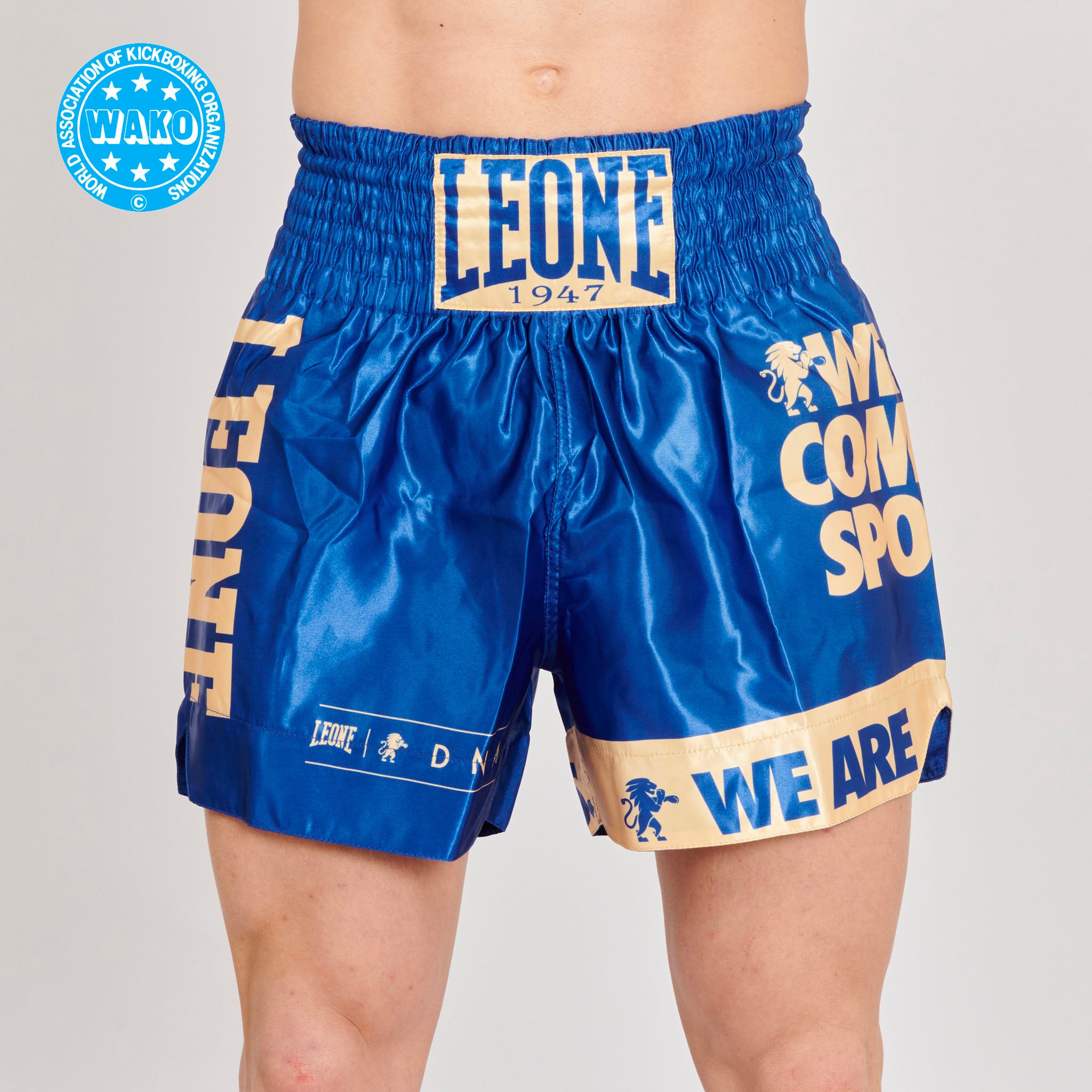 PANTALONCINO KICK-THAI DNA WAKO APPROVED