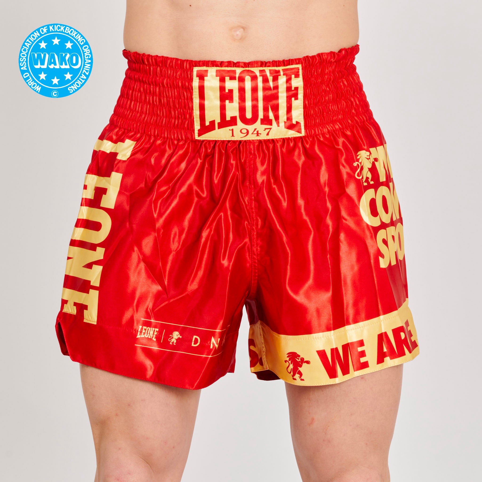 PANTALONCINO KICK-THAI DNA WAKO APPROVED