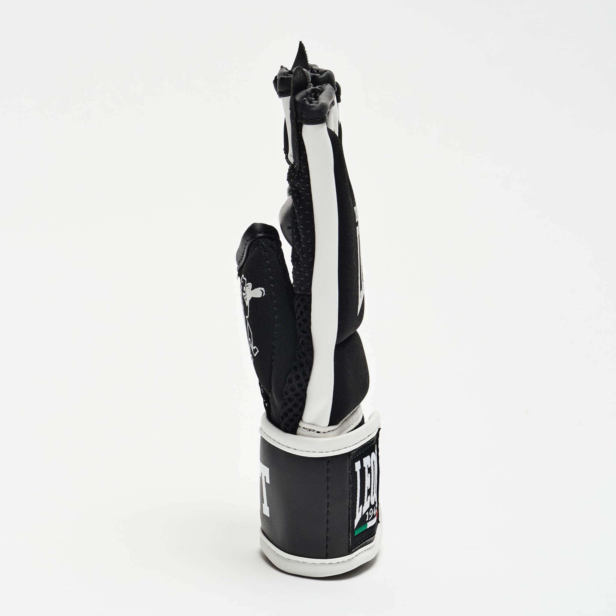 Karate/Fit-Boxe Bag Gloves