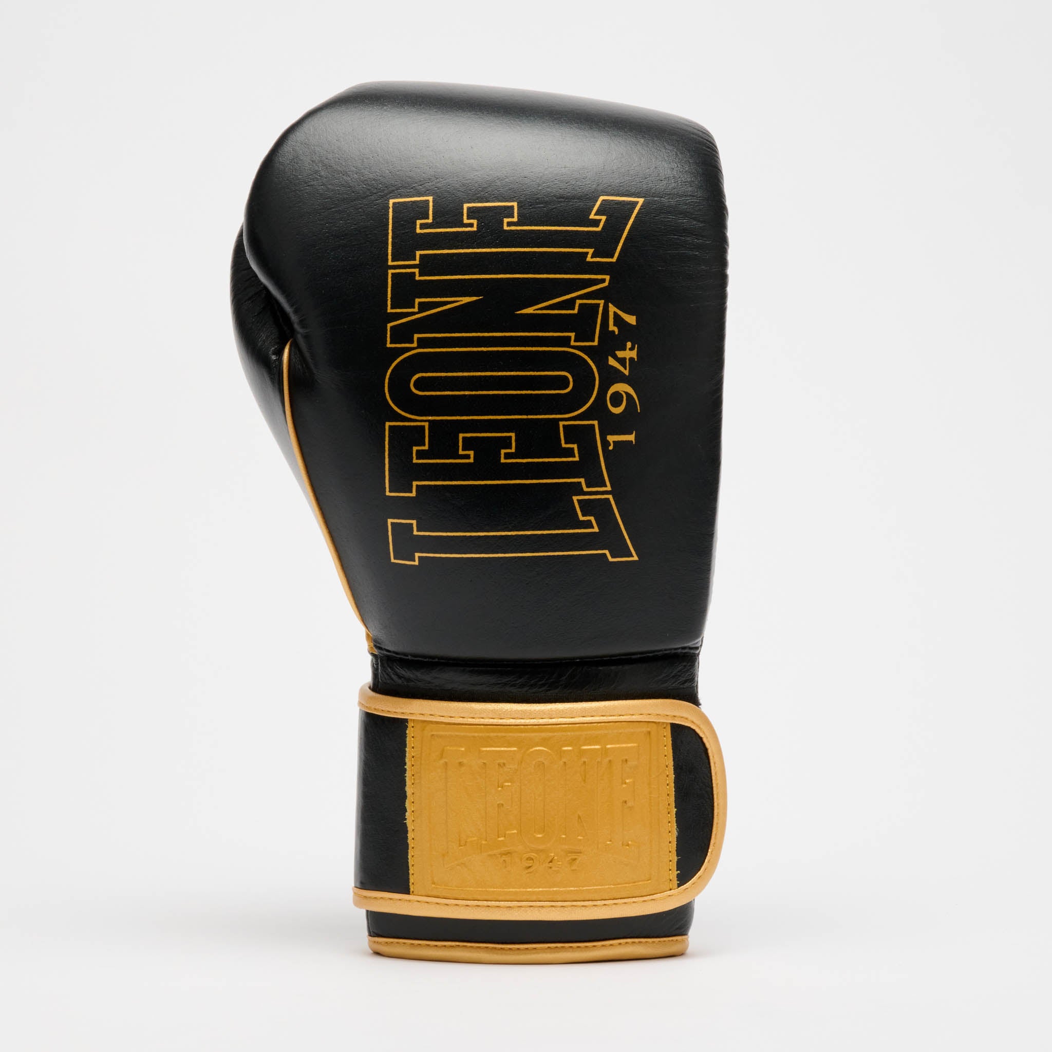 GUANTONE DA BOXE DNA PREMIUM
