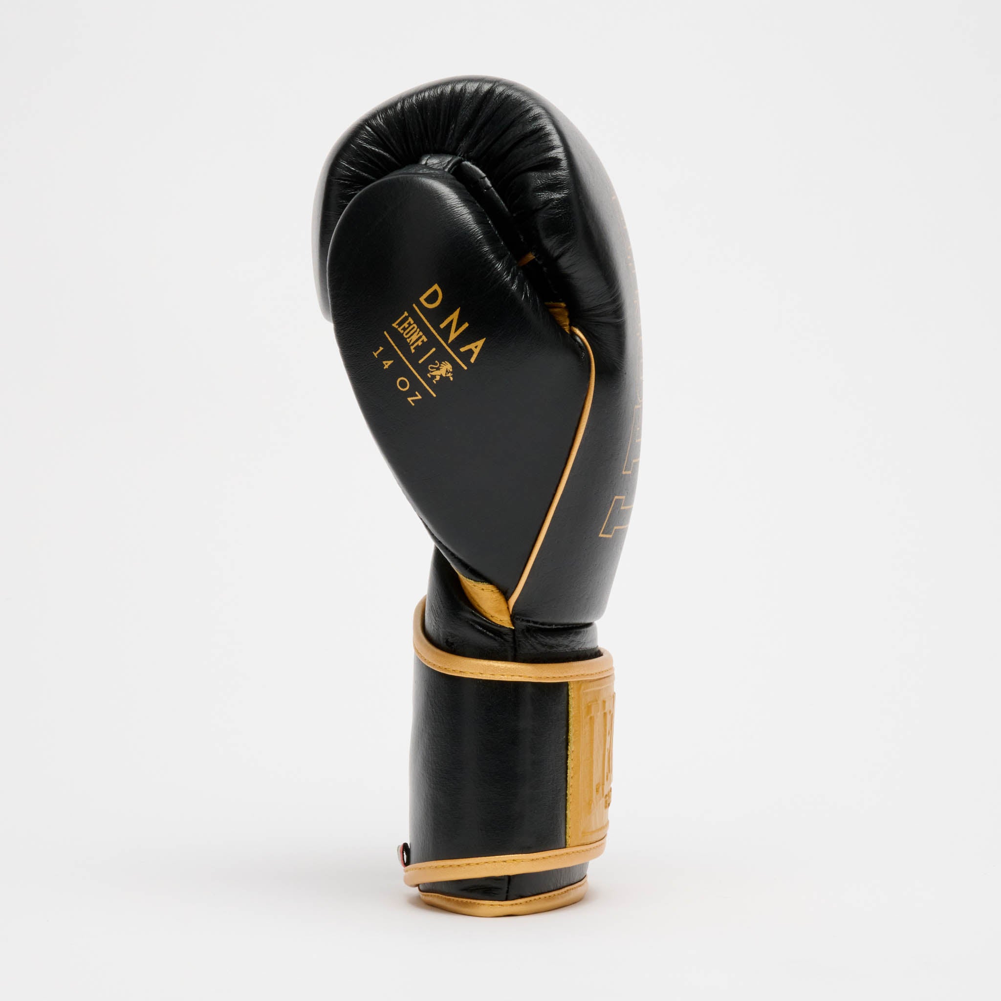 GUANTONE DA BOXE DNA PREMIUM
