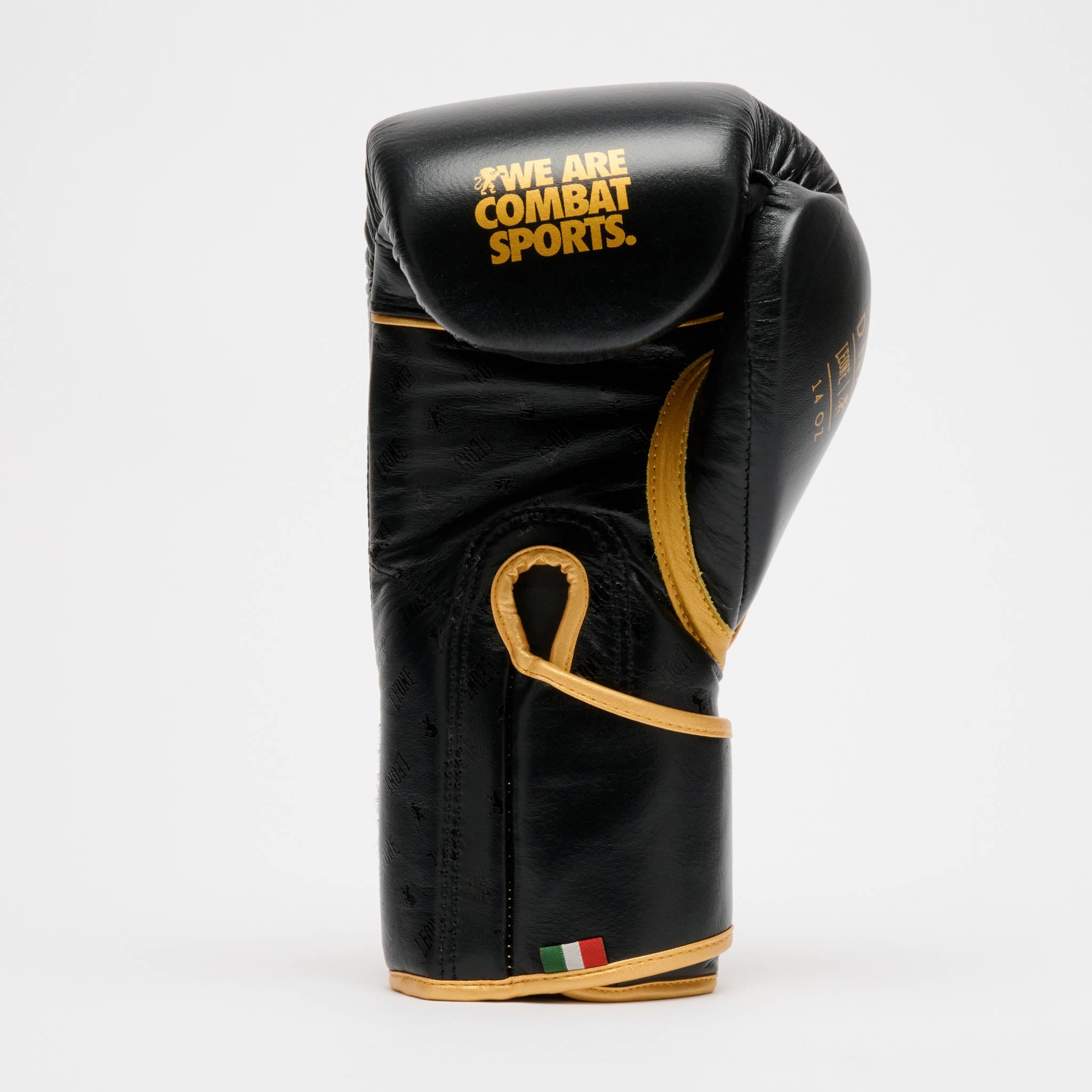 GUANTONE DA BOXE DNA PREMIUM