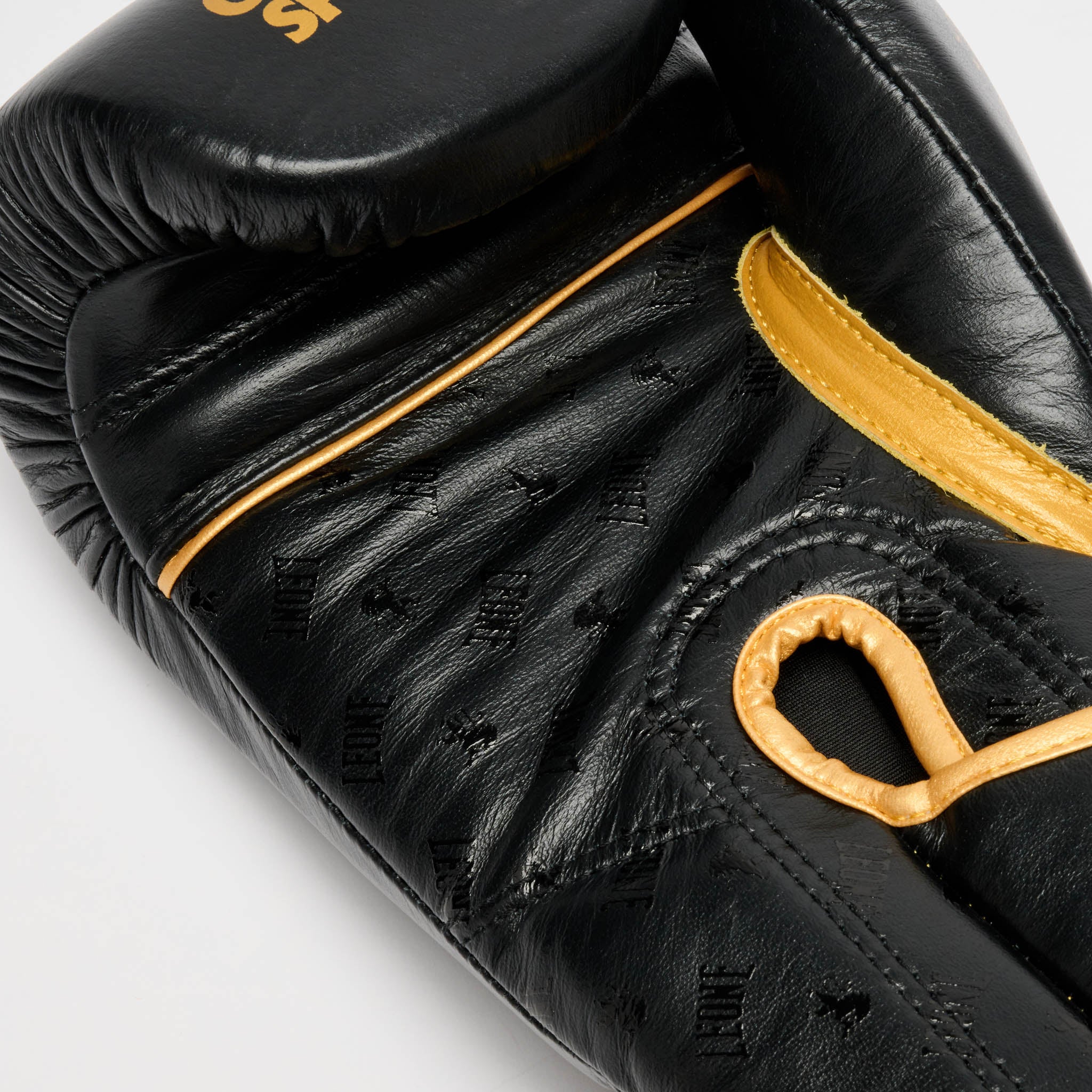 GUANTONE DA BOXE DNA PREMIUM