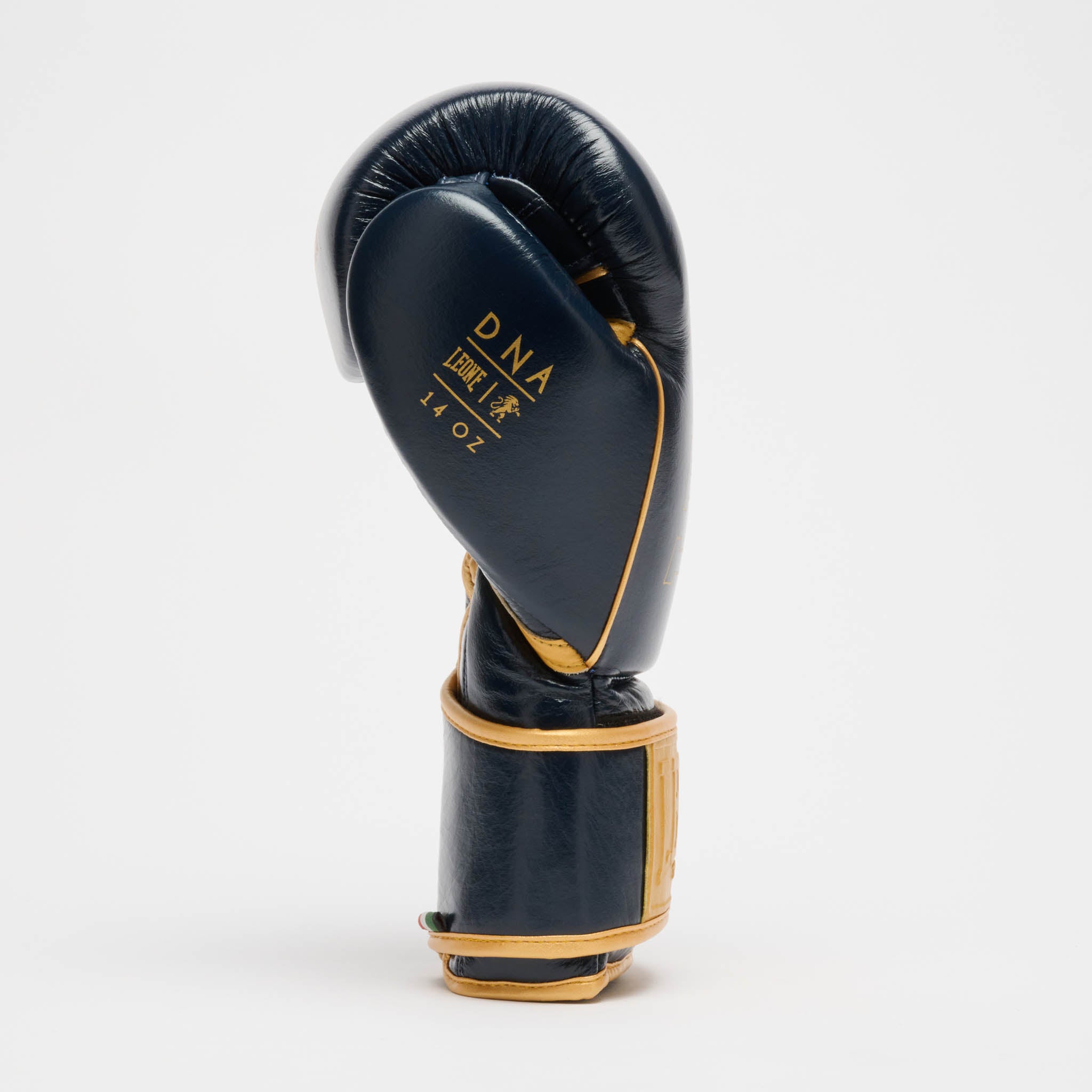 GUANTONE DA BOXE DNA PREMIUM