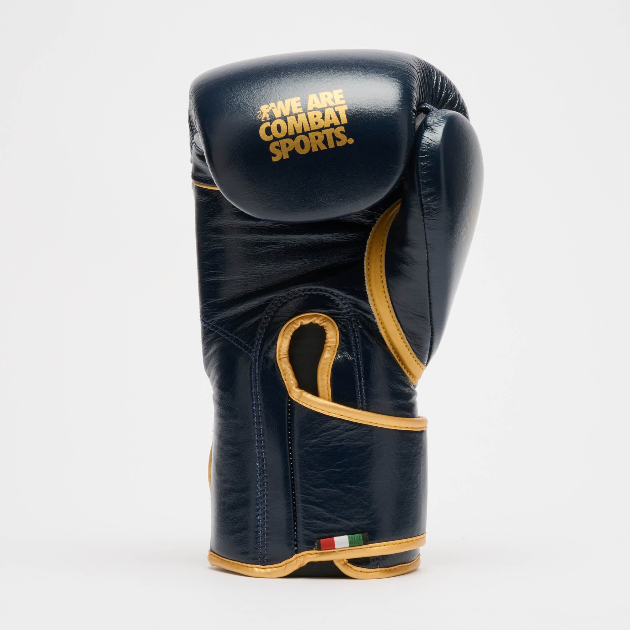 GUANTONE DA BOXE DNA PREMIUM