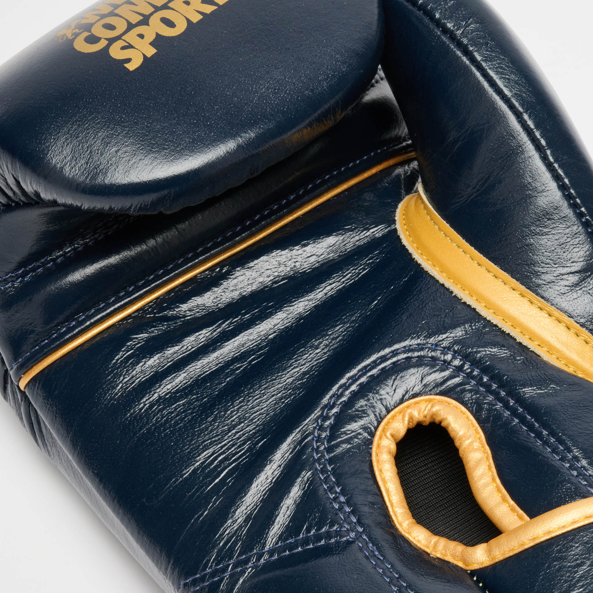 GUANTONE DA BOXE DNA PREMIUM