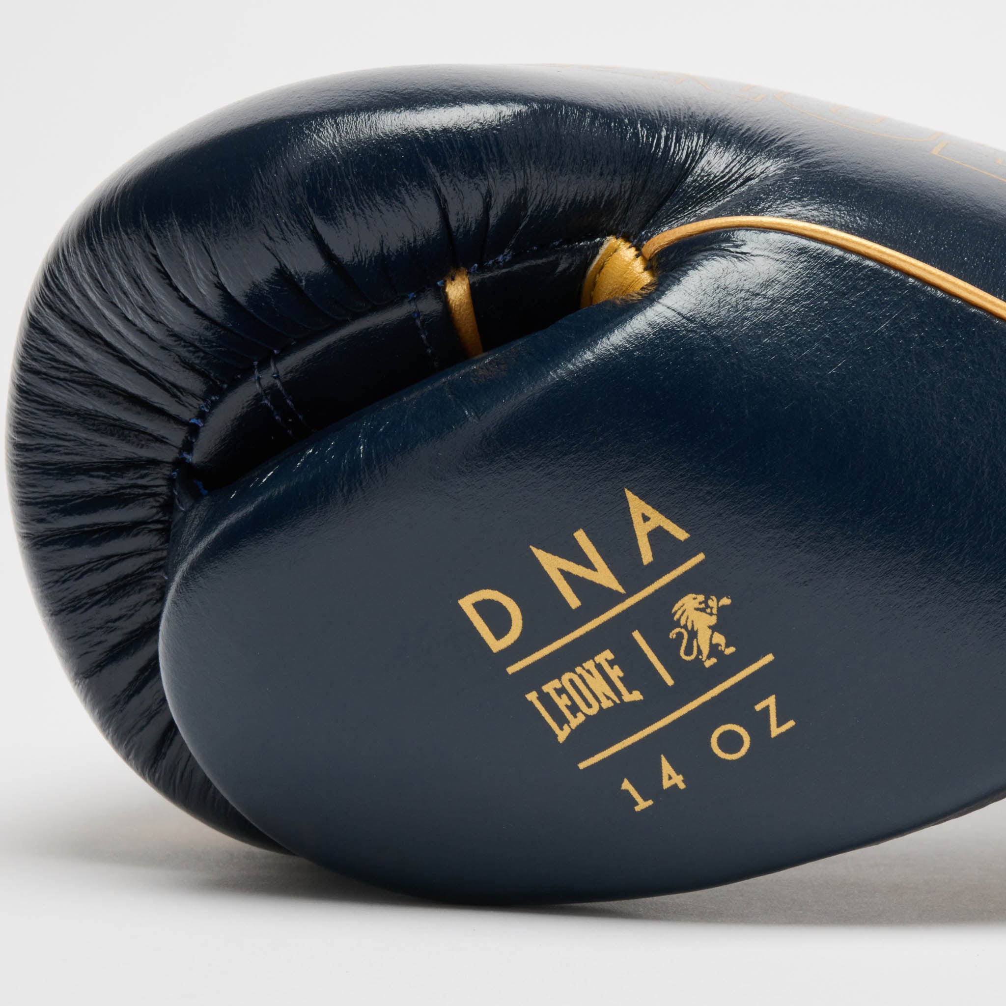 GUANTONE DA BOXE DNA PREMIUM
