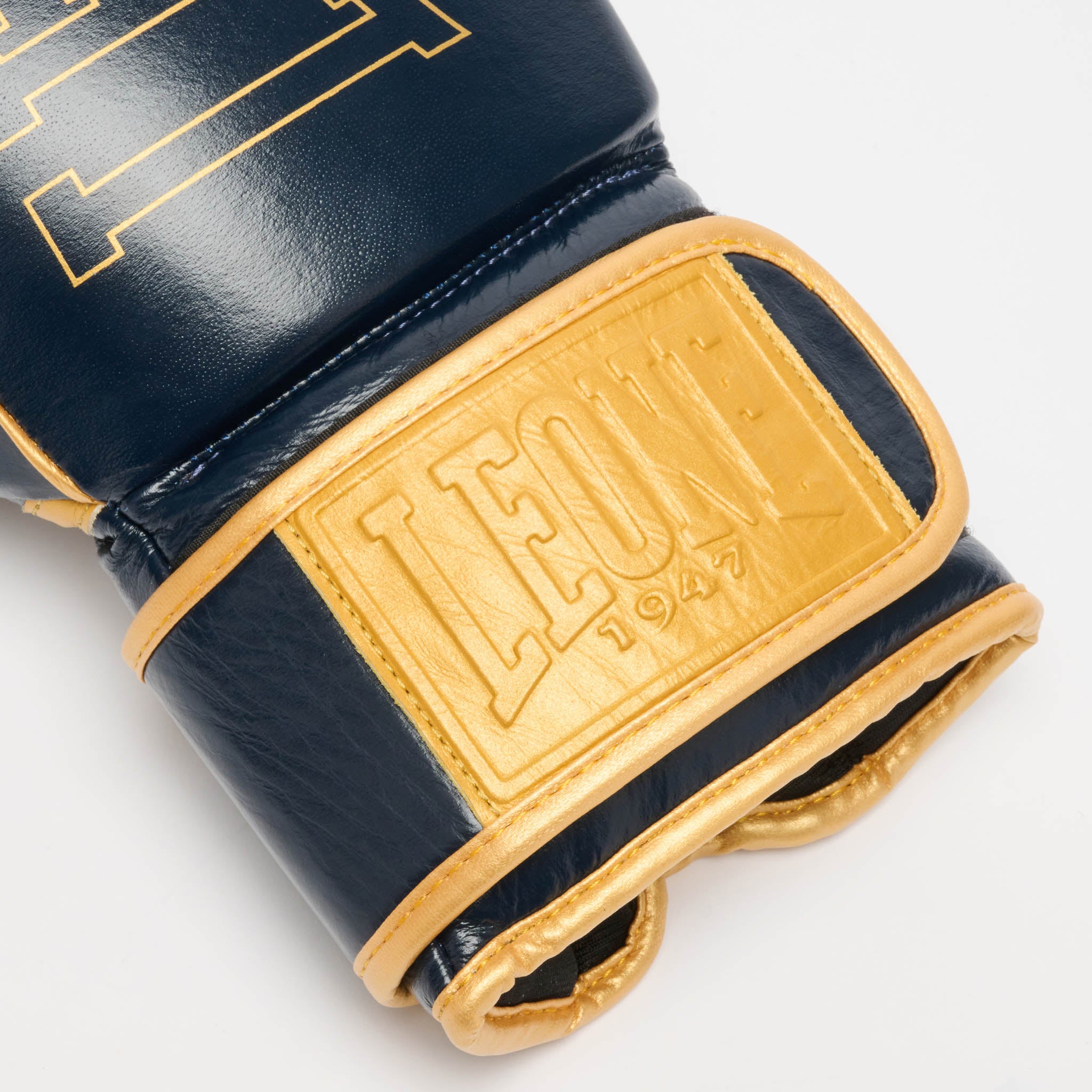 GUANTONE DA BOXE DNA PREMIUM