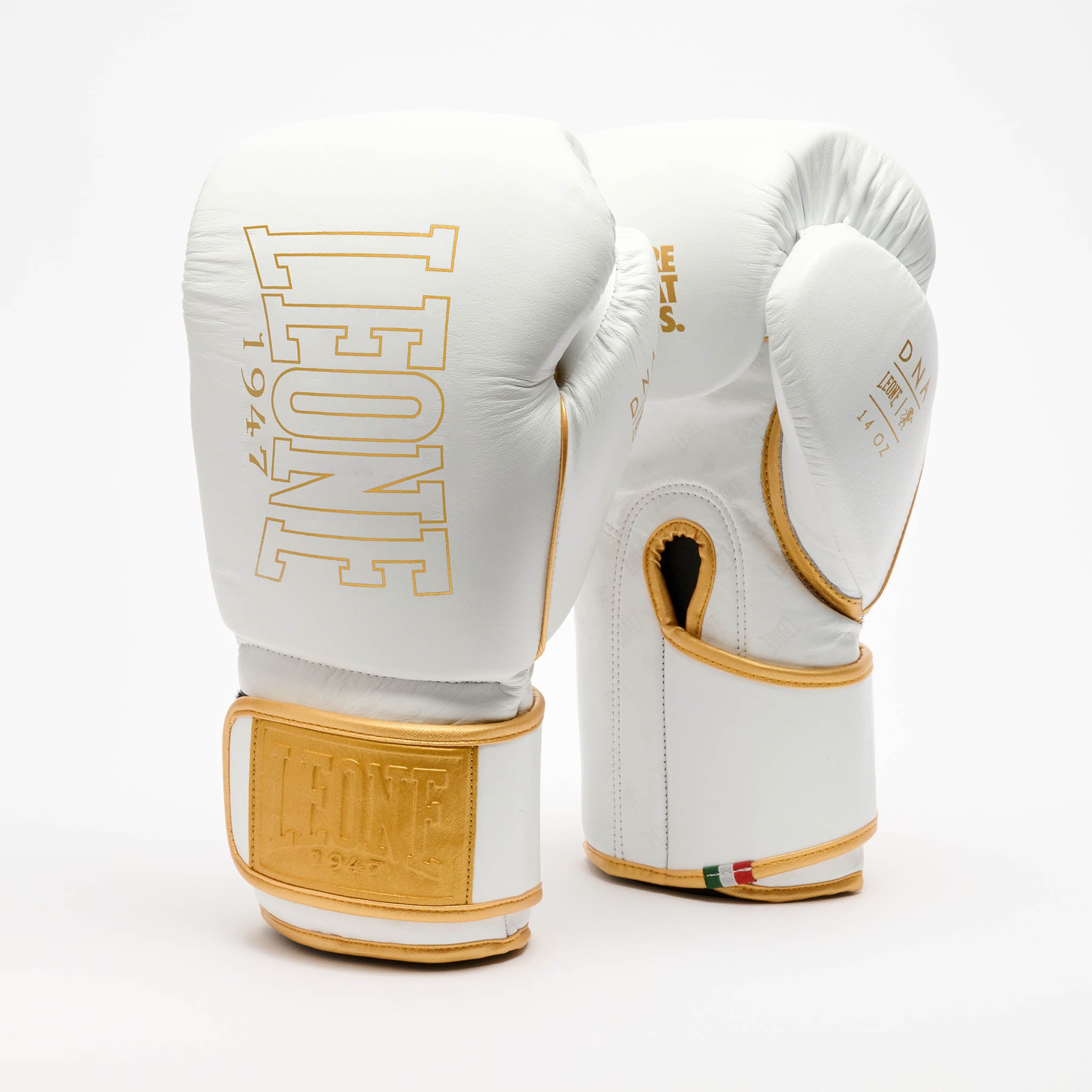 GUANTONE DA BOXE DNA PREMIUM