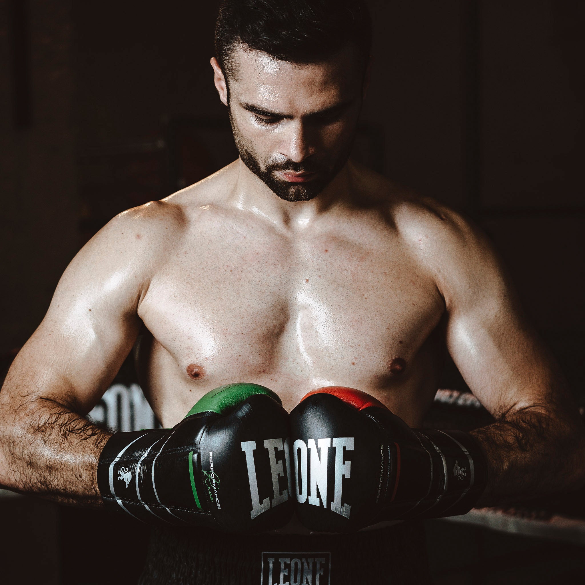 GUANTI BOXE REVO PERFORMANCE