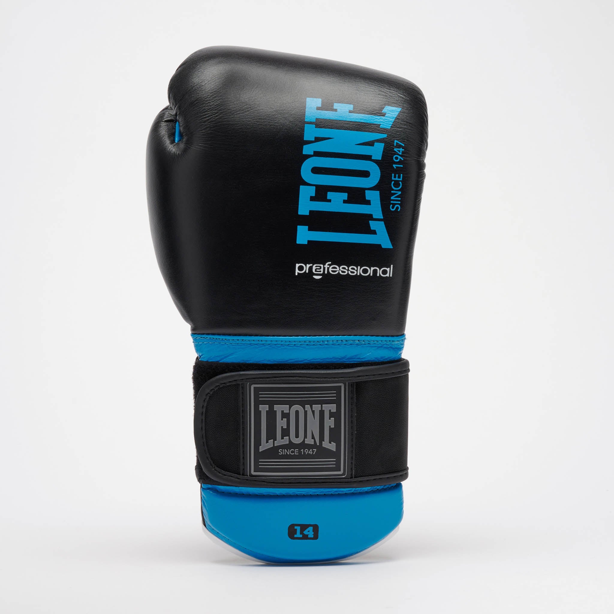 PROFESSIONAL 2 BOXING GLOVES