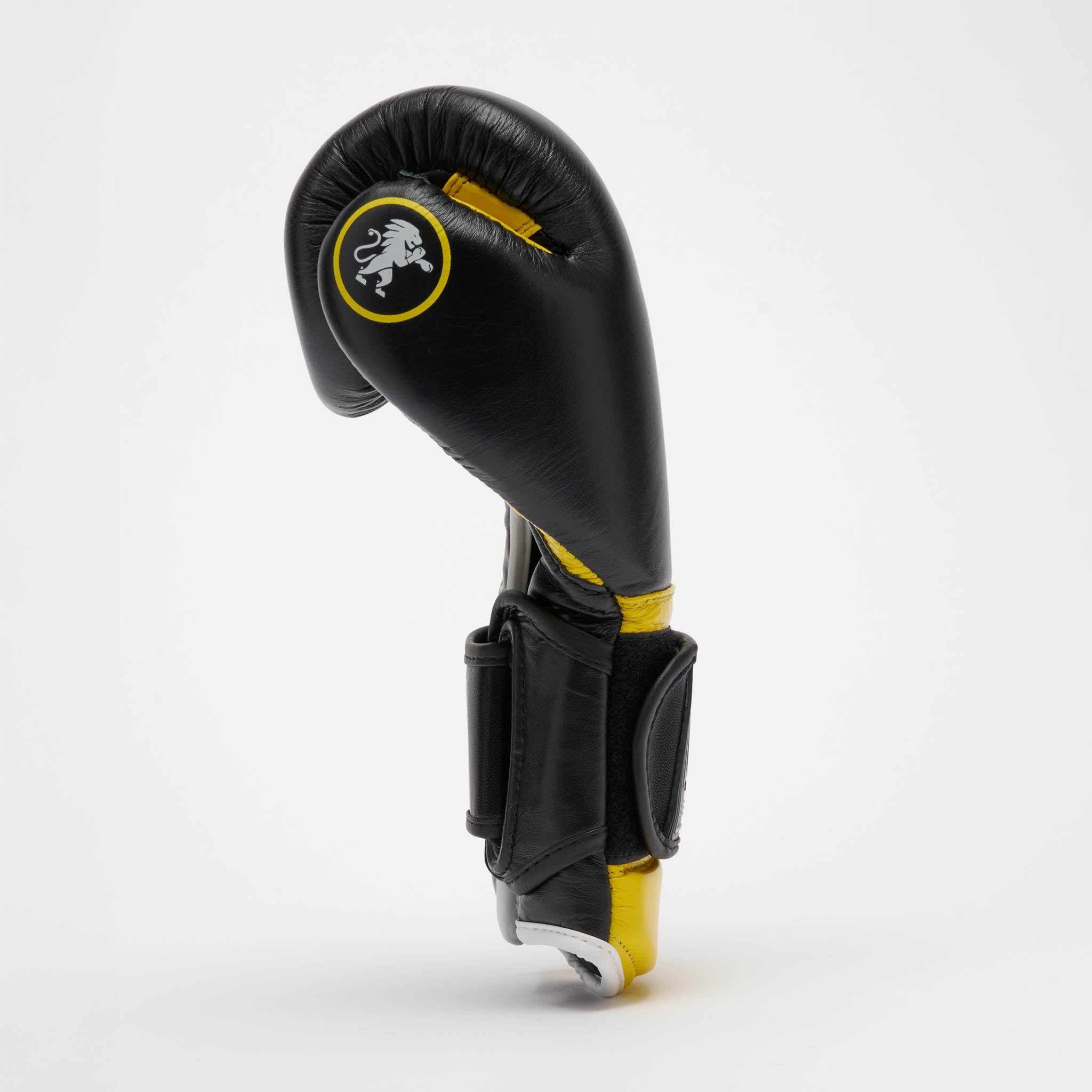 PROFESSIONAL 2 BOXING GLOVES