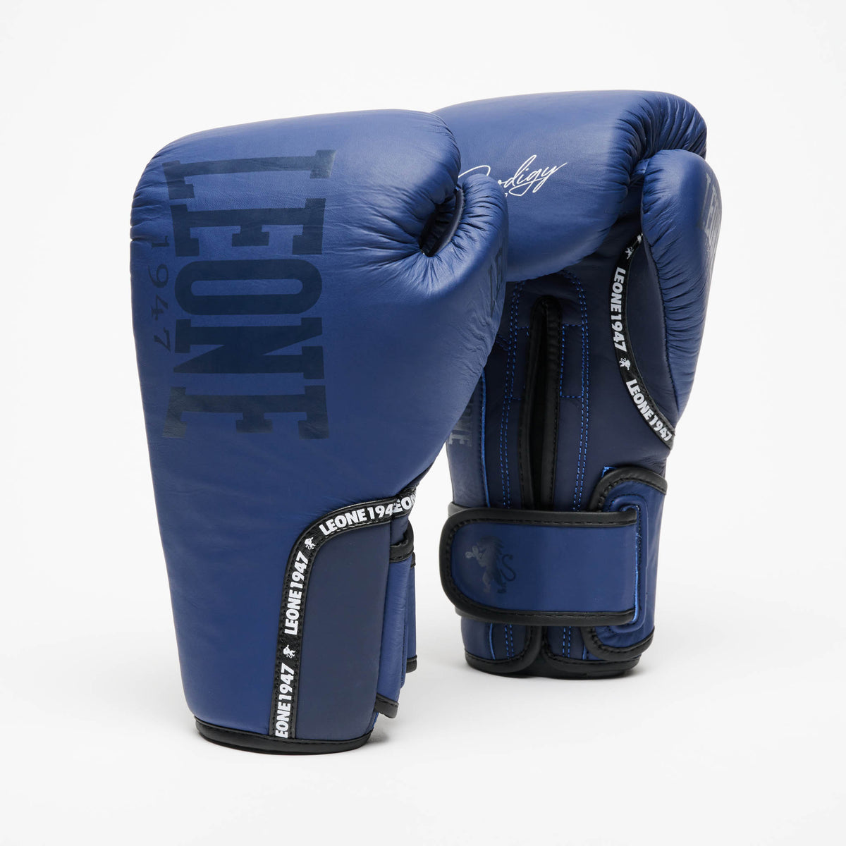 PRODIGY BOXING GLOVES