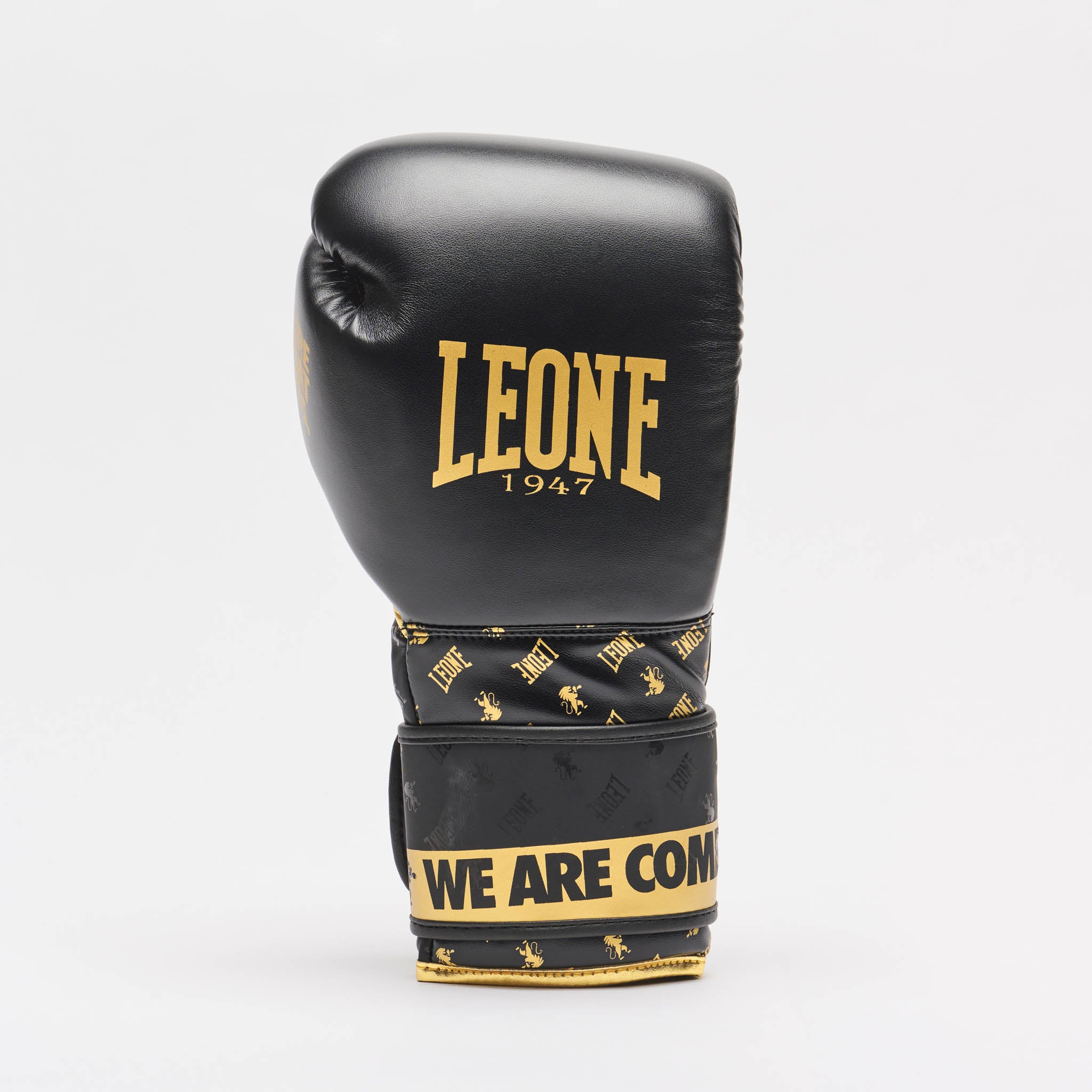 GUANTI BOXE DNA