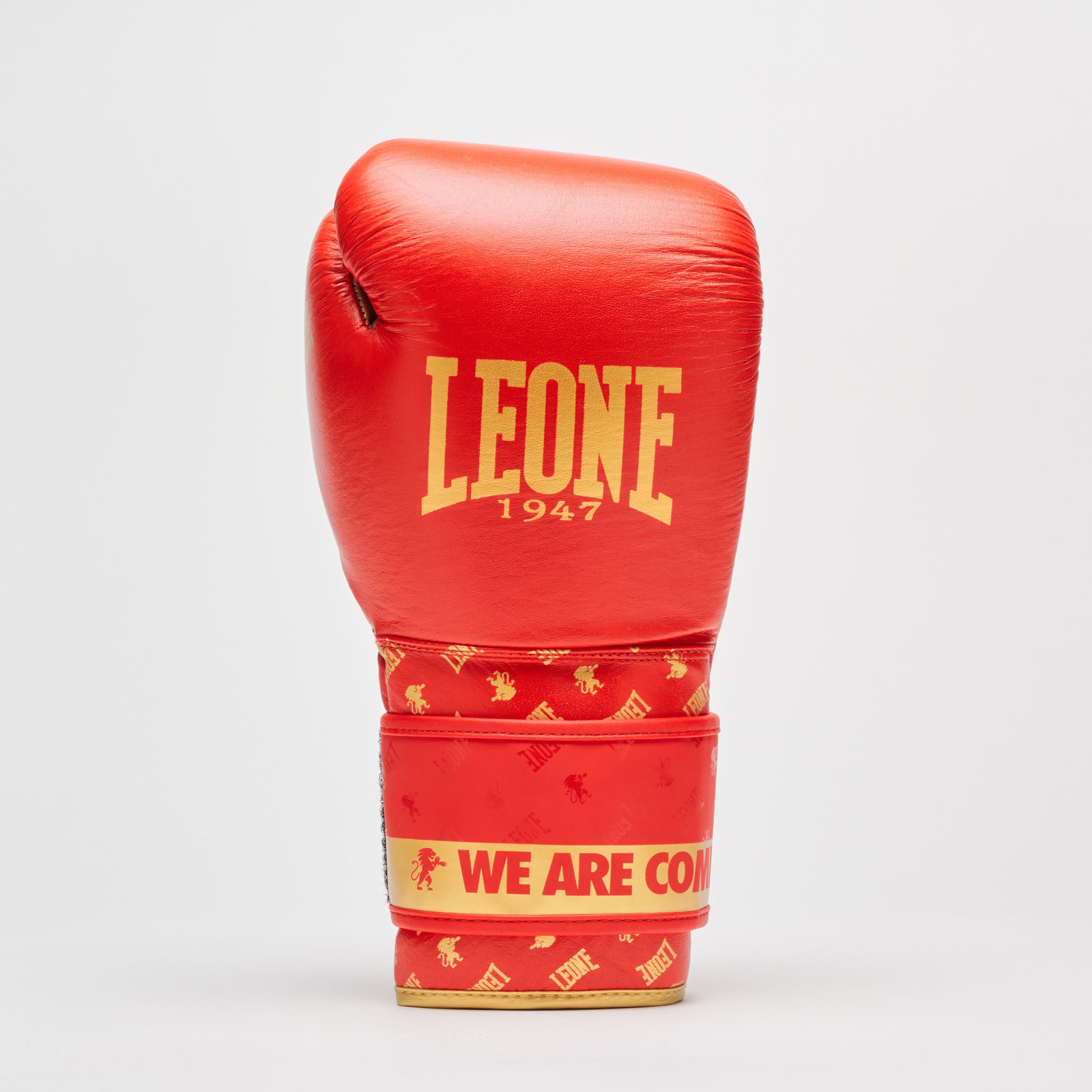 BOXING GLOVES DNA
