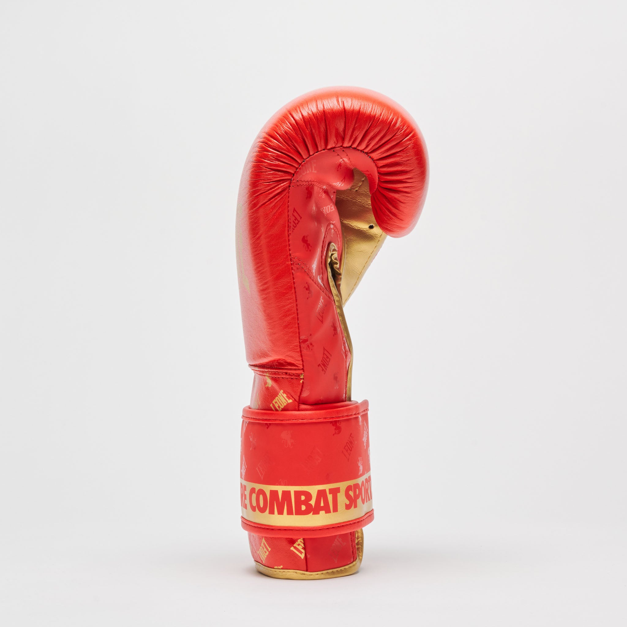 BOXING GLOVES DNA