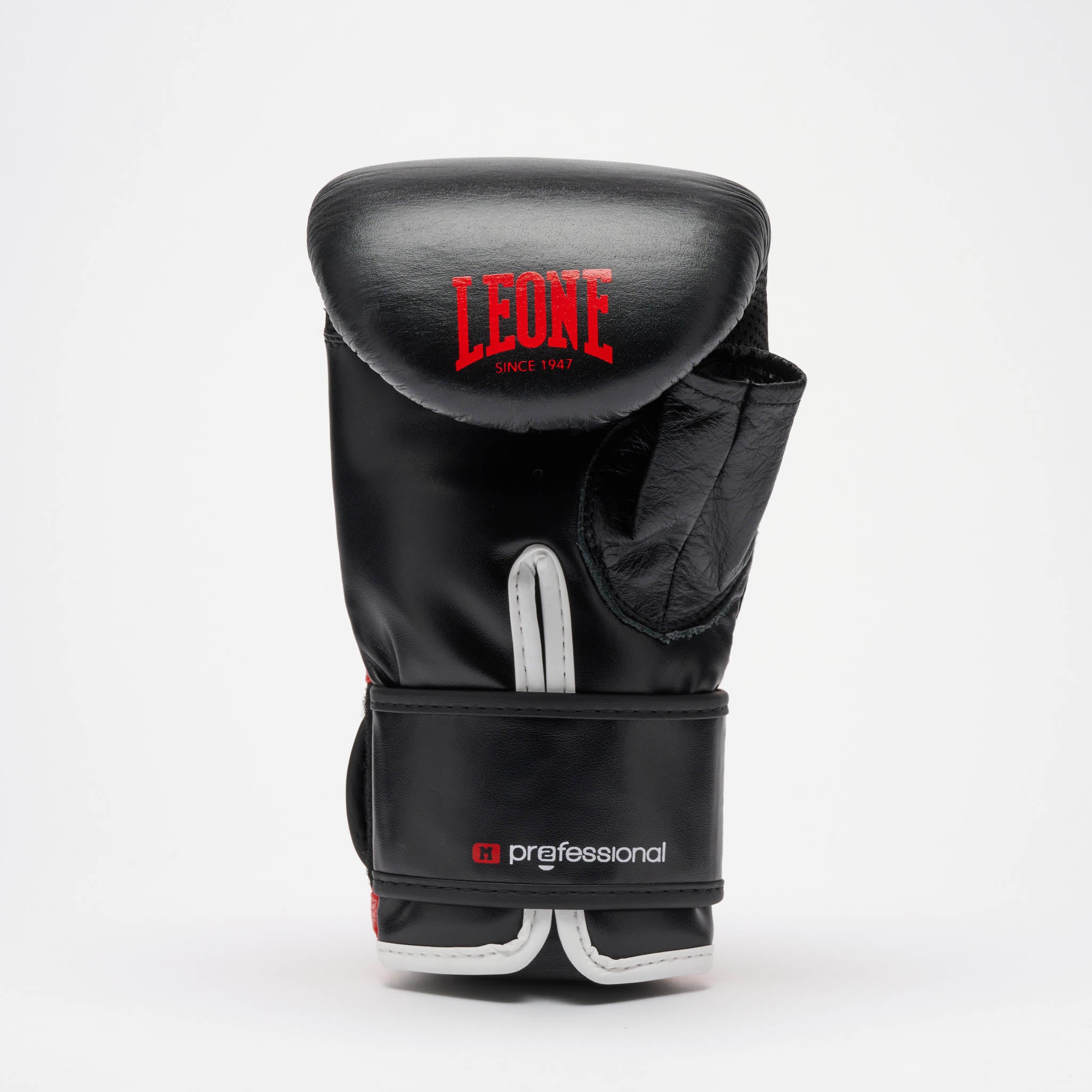 PROFESSIONAL 2 BAG GLOVES