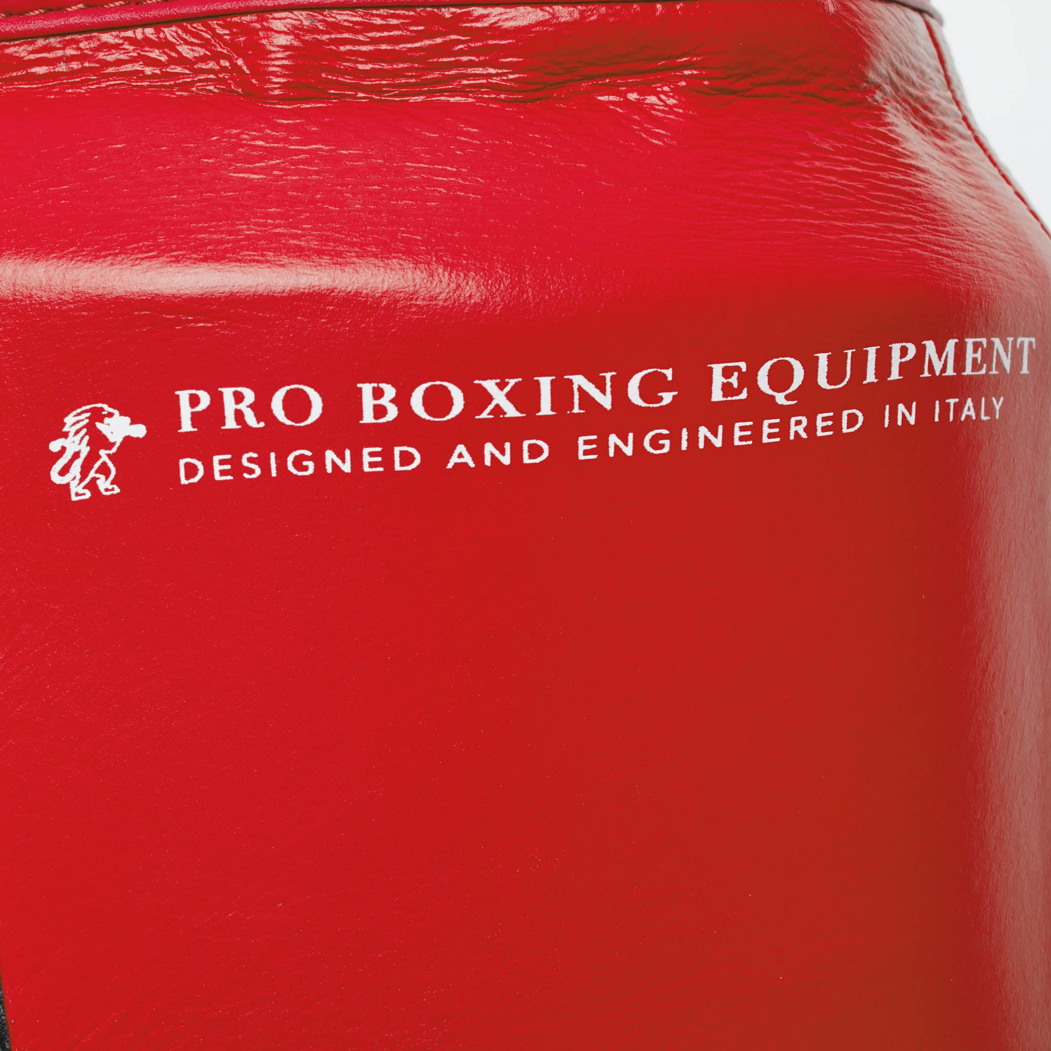 CINTURA PRO BOXE THE GREATEST