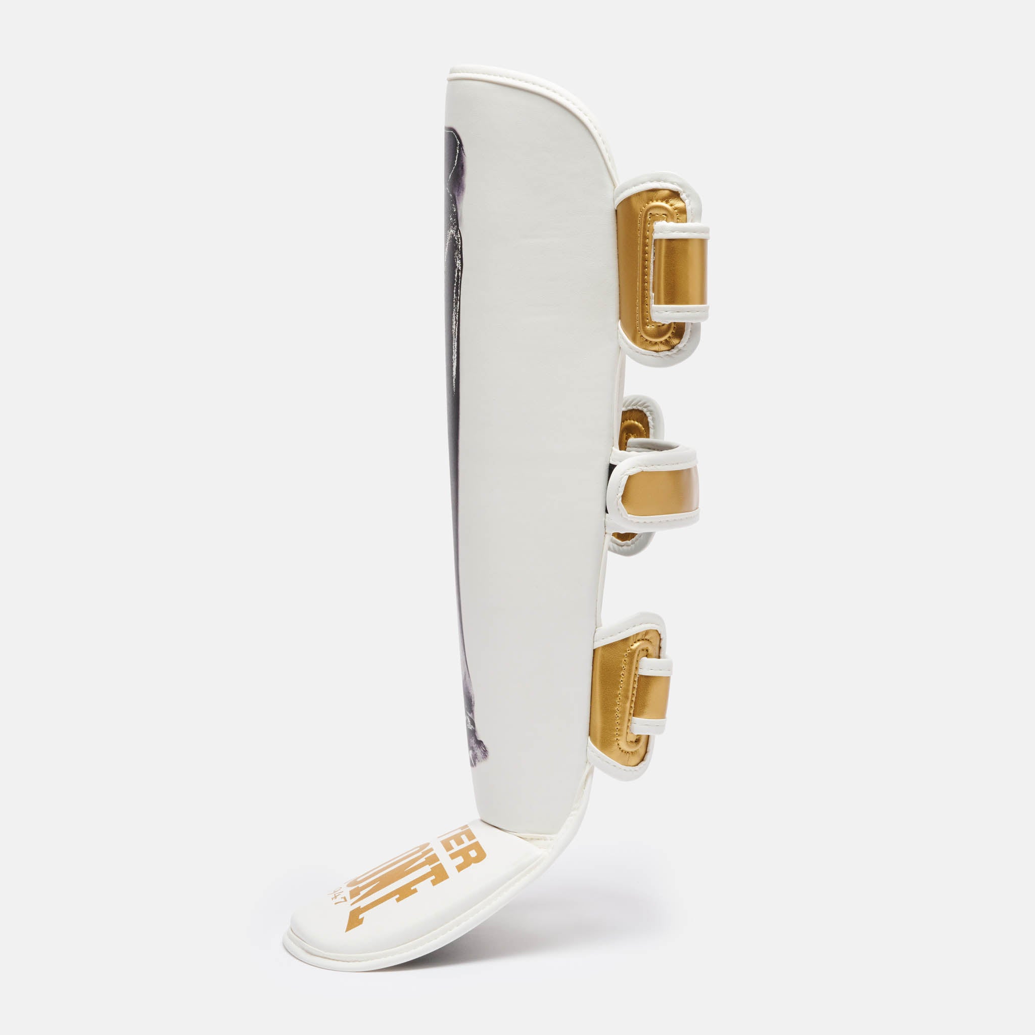 PARATIBIA LEONE X IUTER