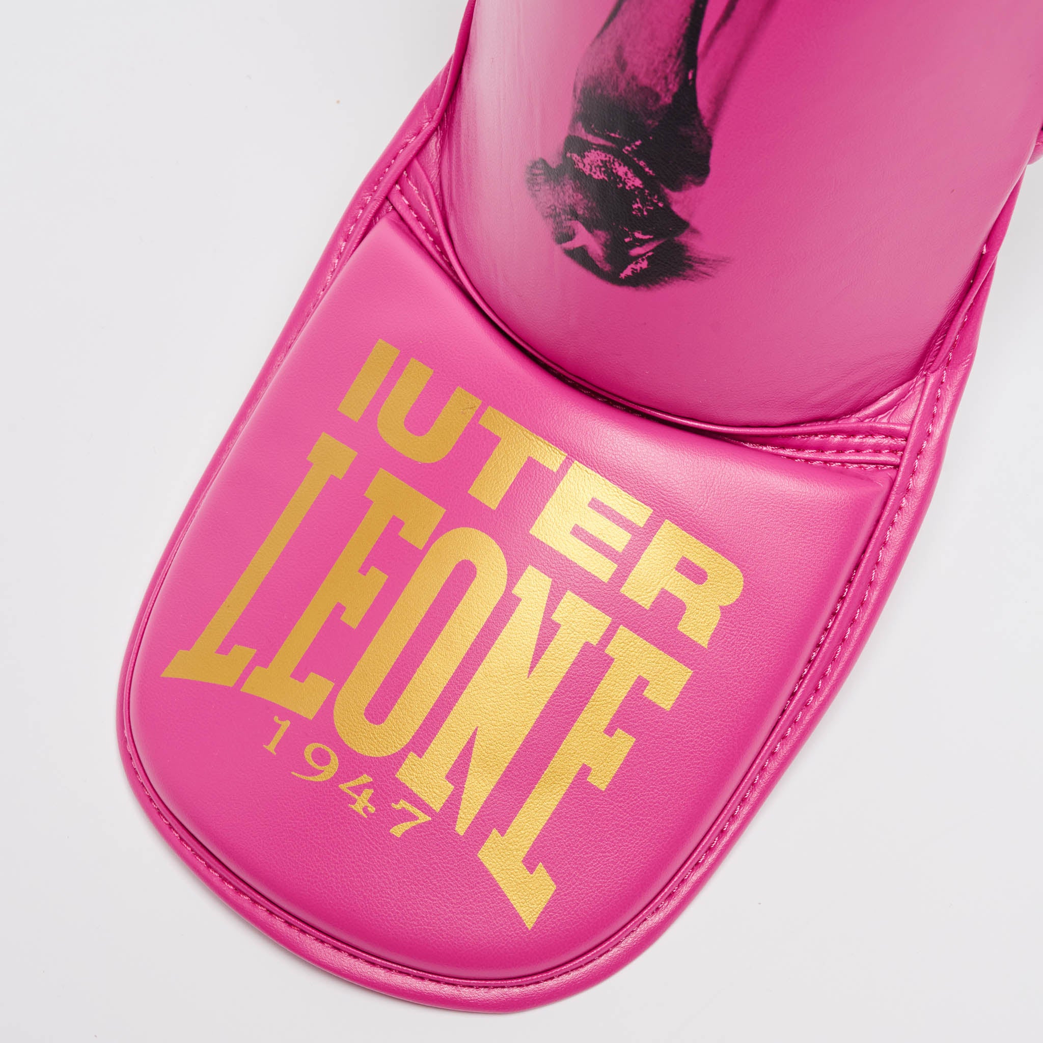 PARATIBIA LEONE X IUTER