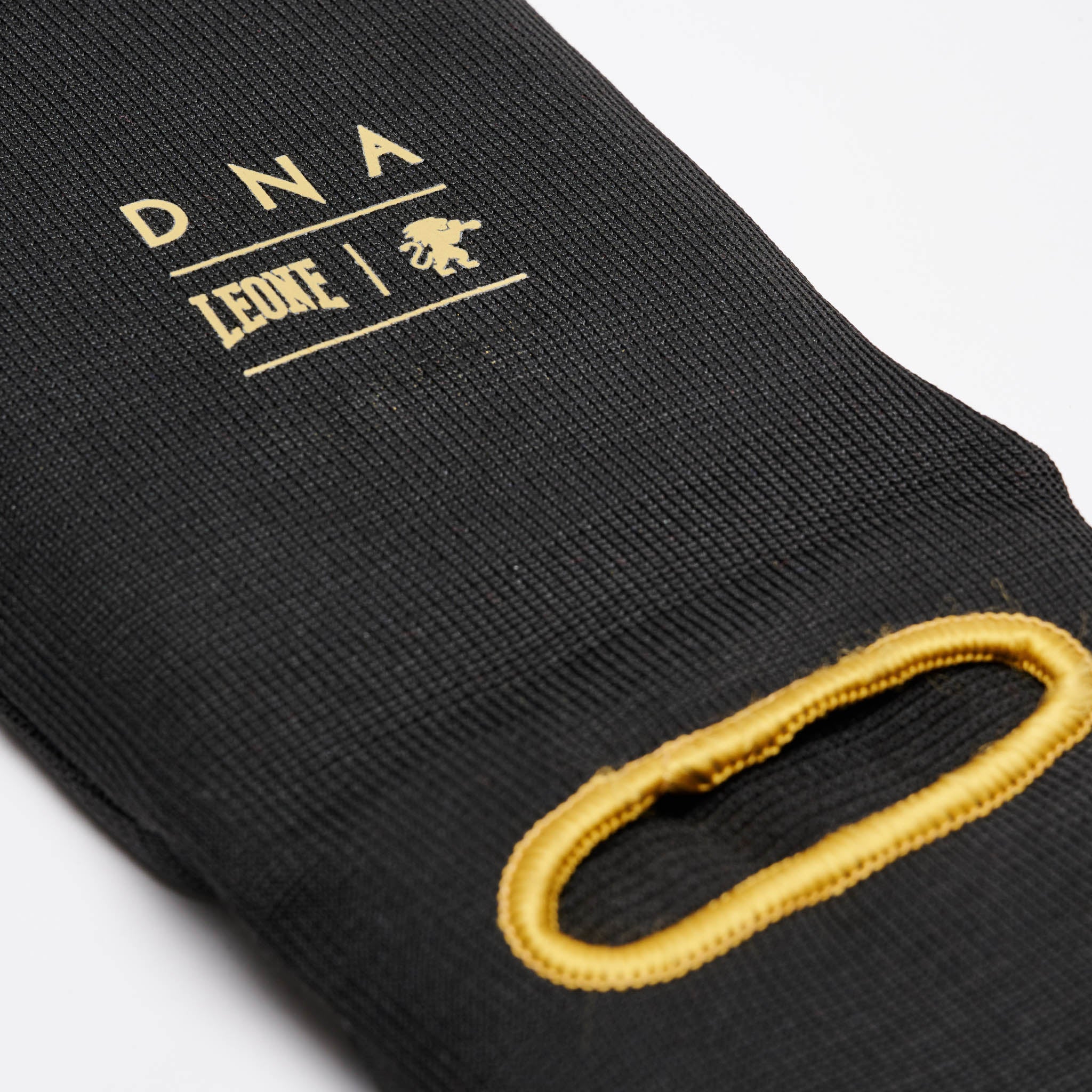 PARATIBIA DNA