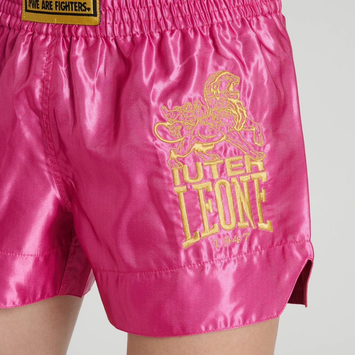 PANTA COMBAT LEONE X IUTER