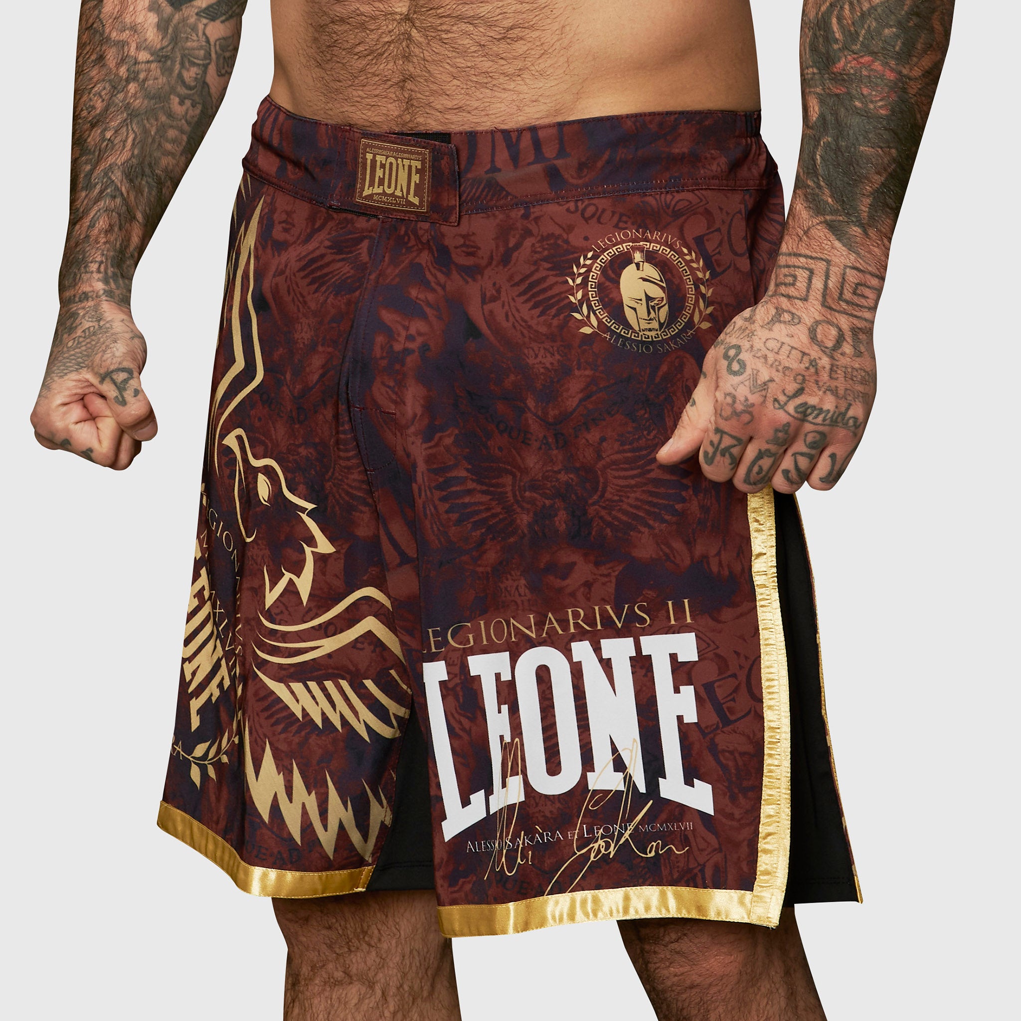 PANTA MMA LEGIONARIVS II