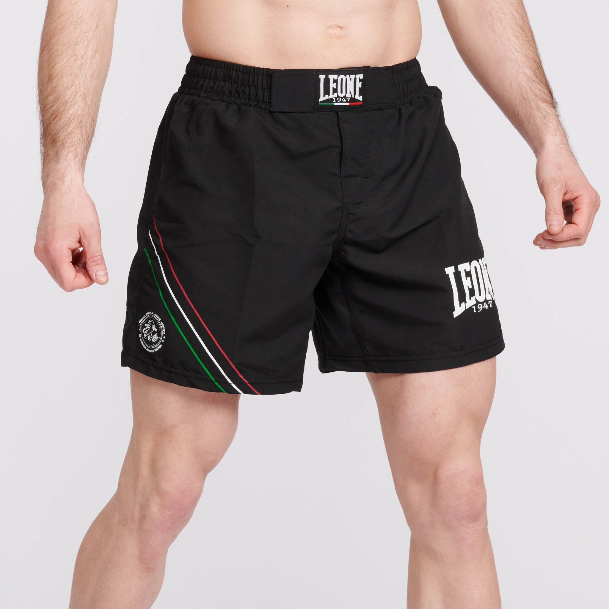 MMA SHORTS FLAG