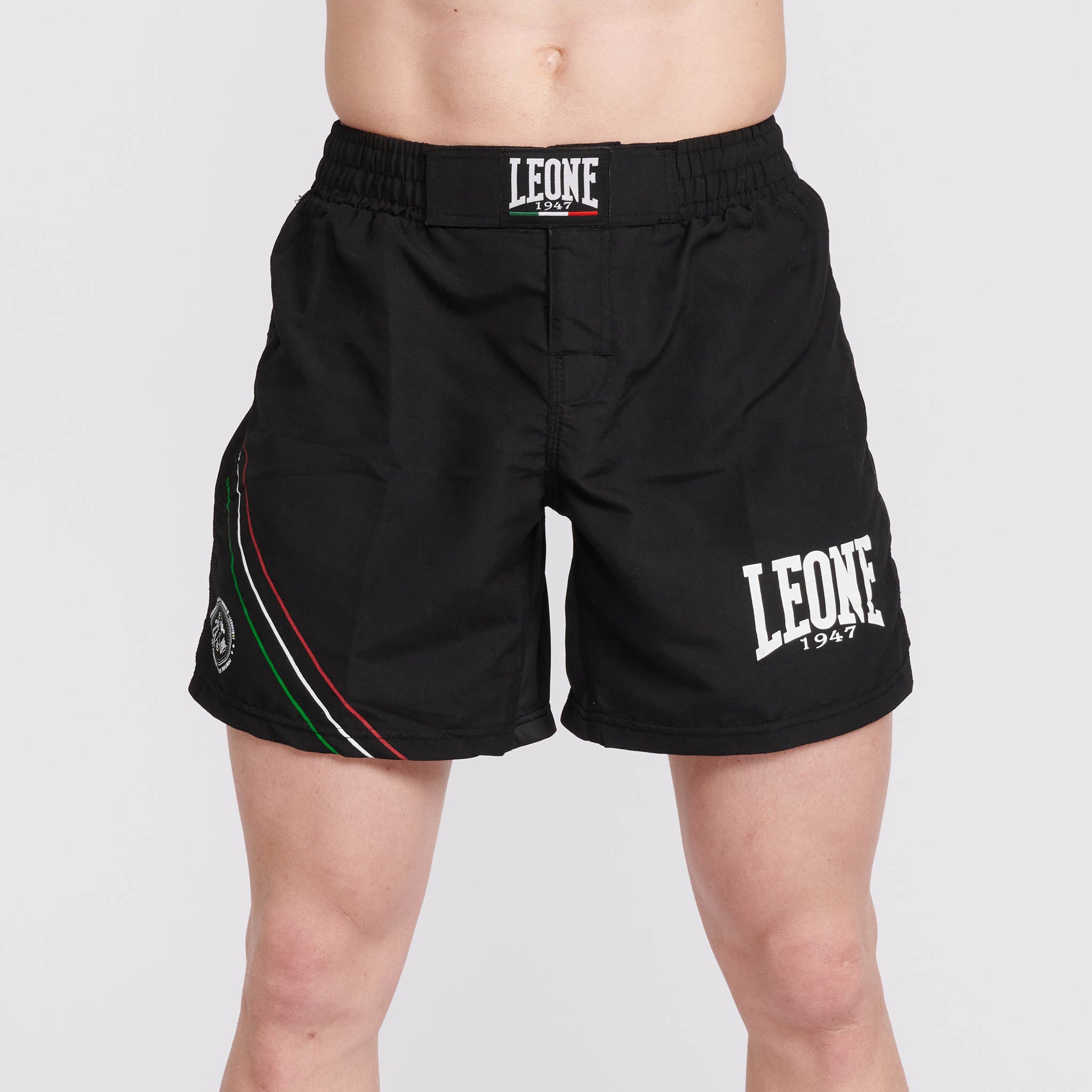 MMA SHORTS FLAG