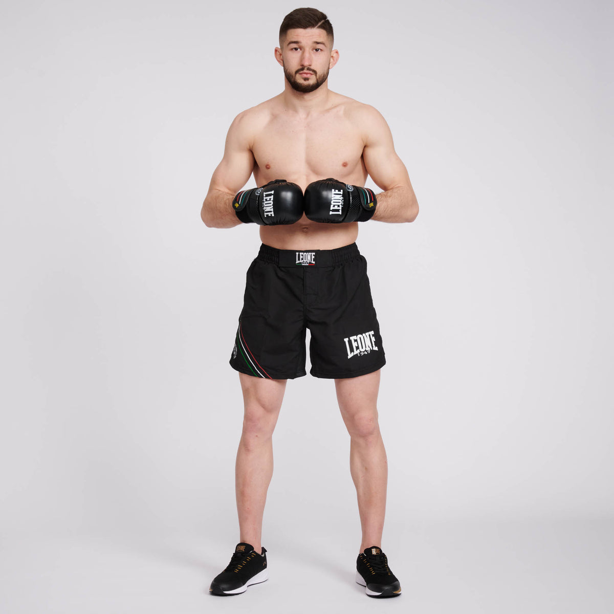 MMA SHORTS FLAG