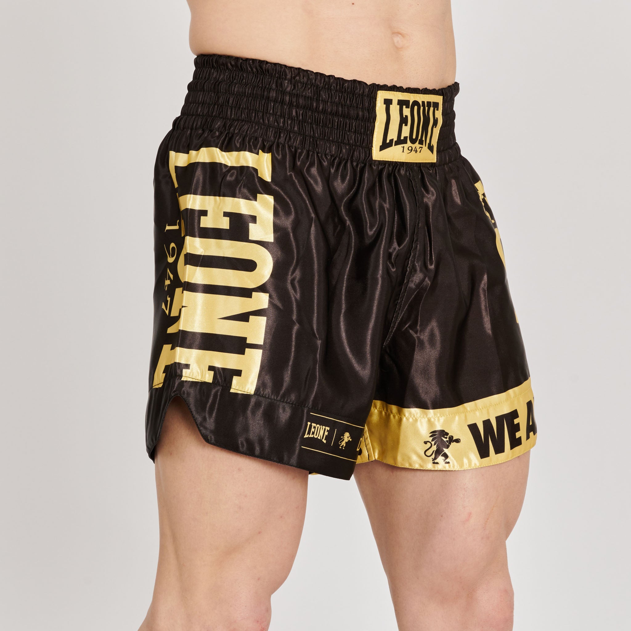 KICK-THAI SHORTS DNA