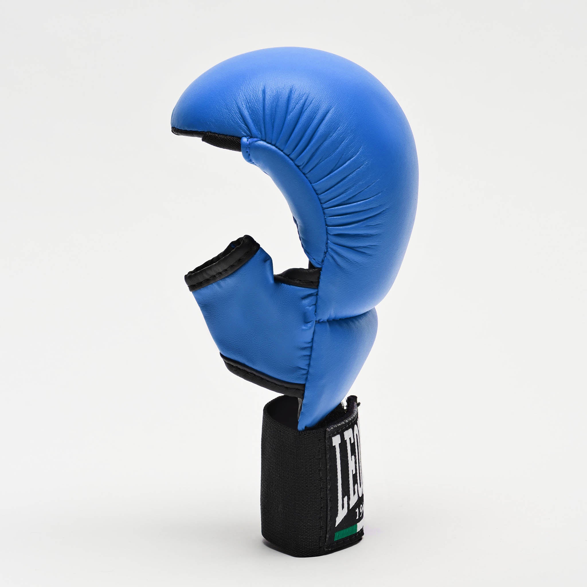FIT/KARATE GLOVES