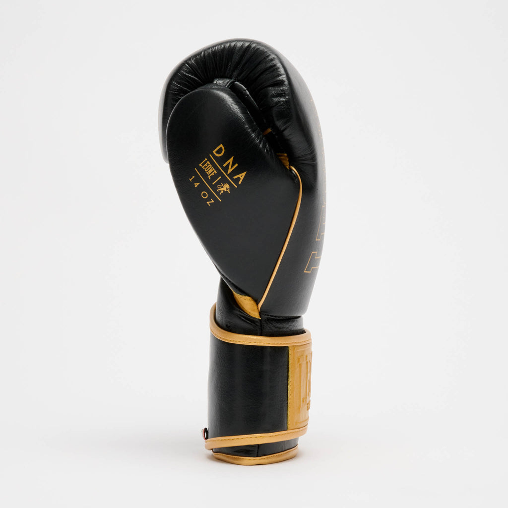 GUANTONE DA BOXE DNA PREMIUM