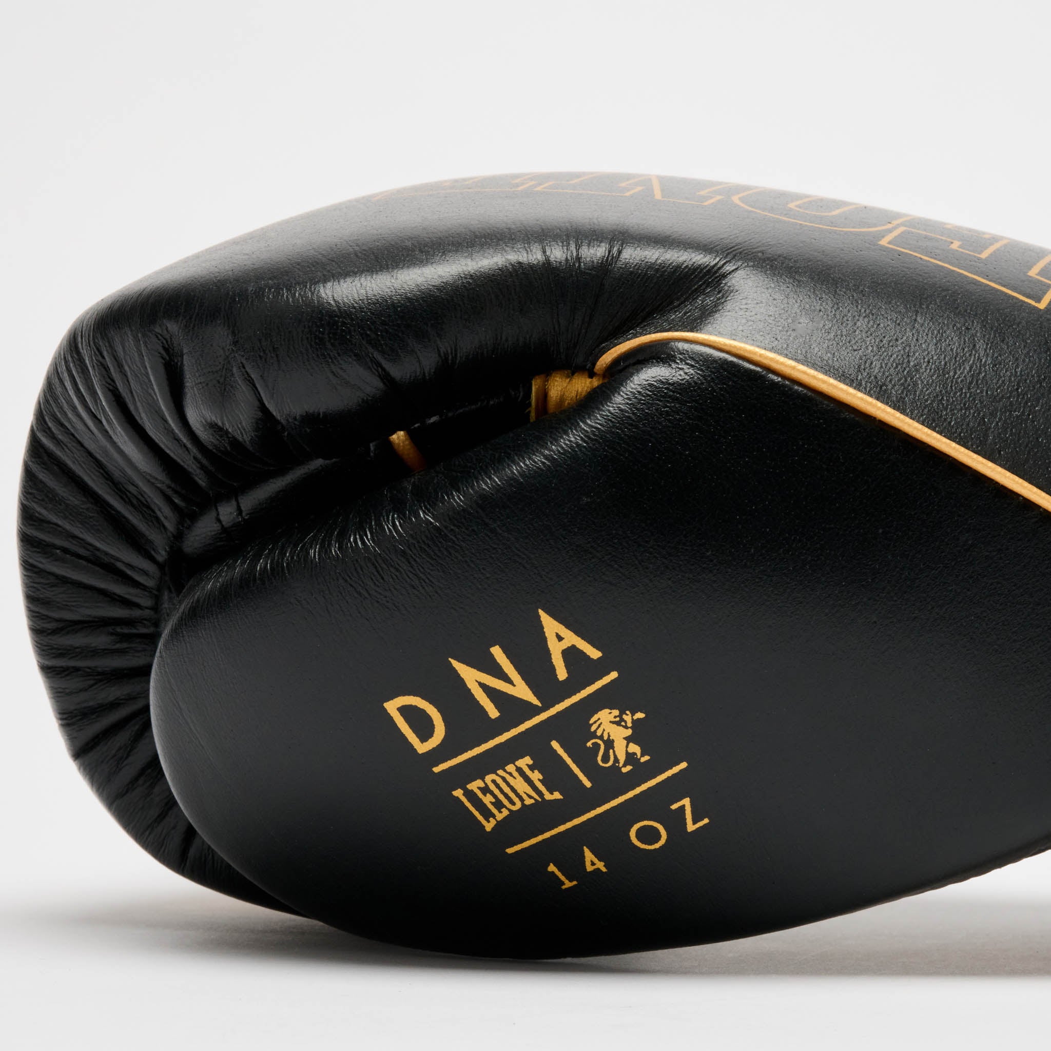 GUANTONE DA BOXE DNA PREMIUM