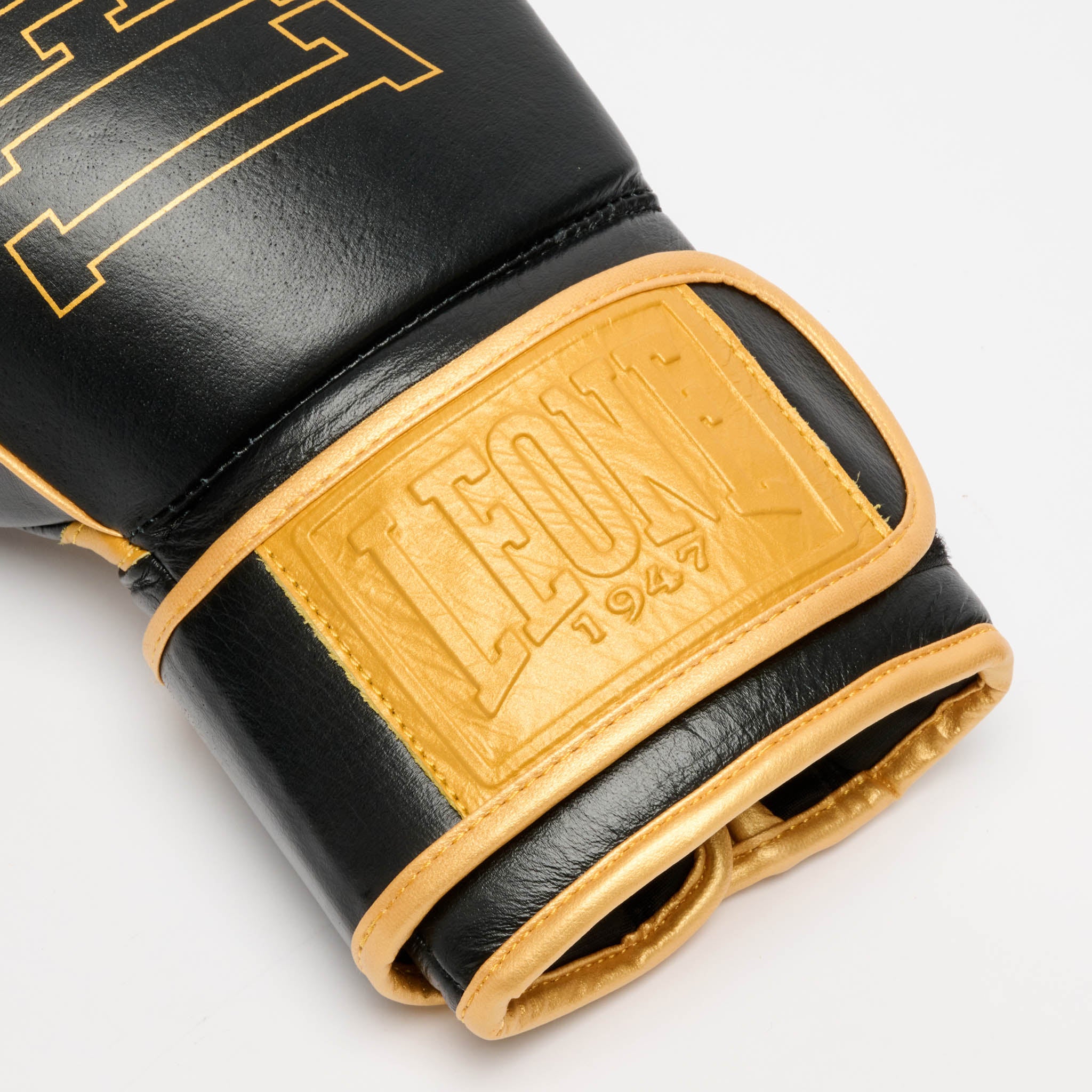 GUANTONE DA BOXE DNA PREMIUM