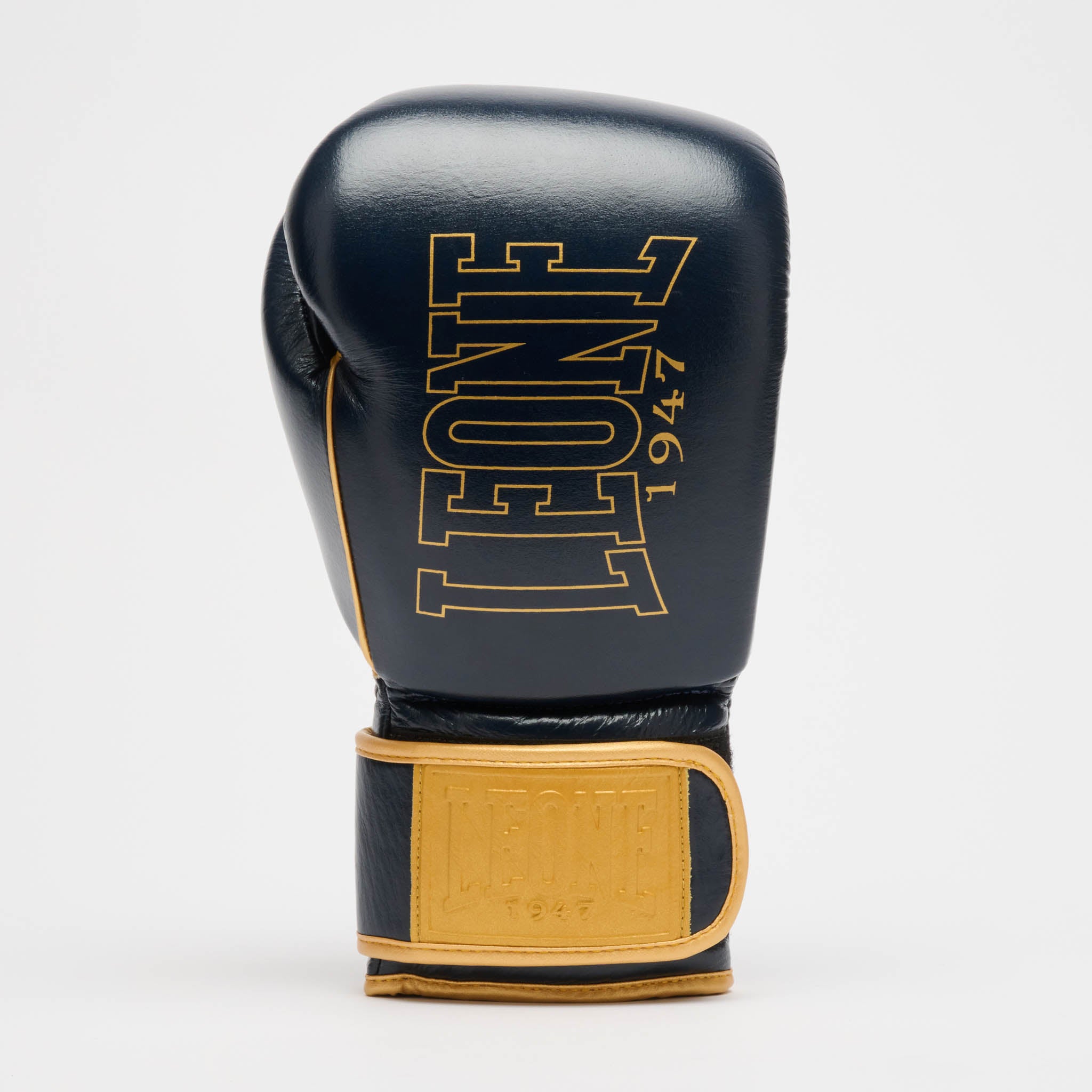 GUANTONE DA BOXE DNA PREMIUM