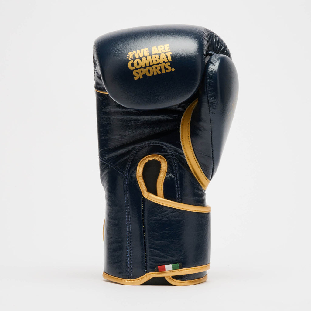 GUANTONE DA BOXE DNA PREMIUM