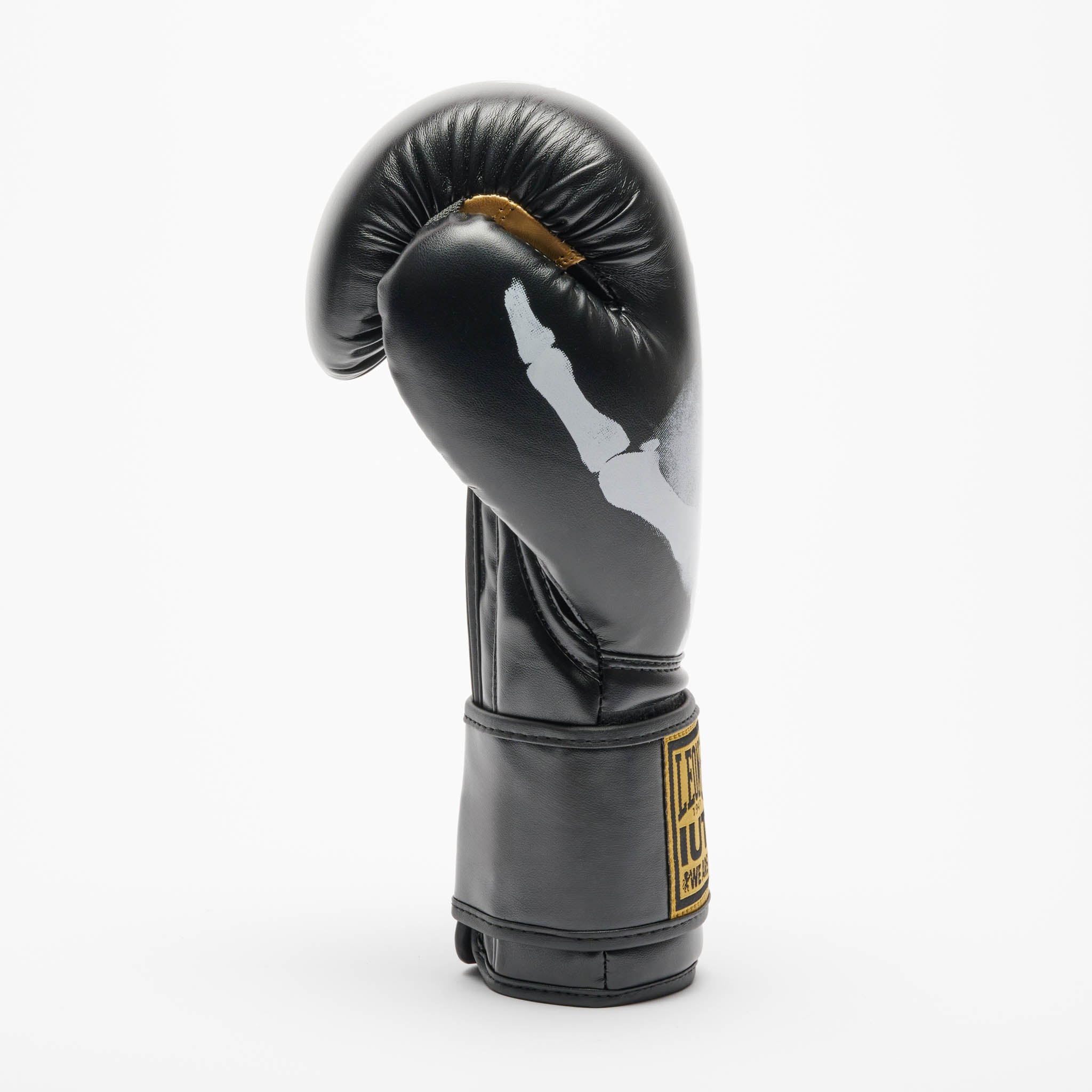 GUANTI BOXE LEONE X IUTER