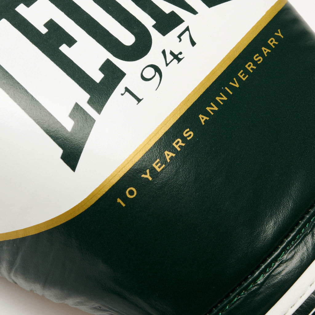 GUANTI BOXE SHOCK X