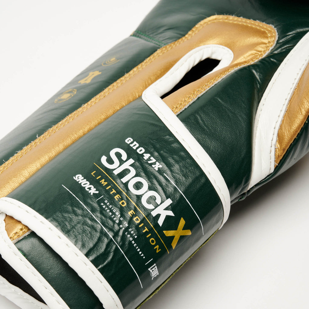 GUANTI BOXE SHOCK X
