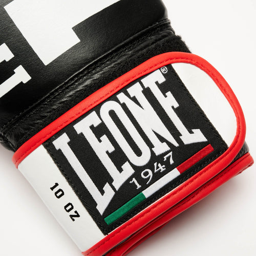 GUANTI BOXE EXPLOSION