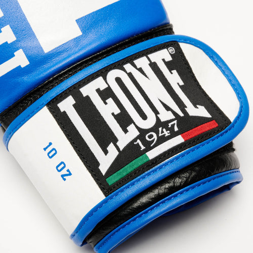 GUANTI BOXE EXPLOSION