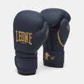 GUANTI BOXE IDOL