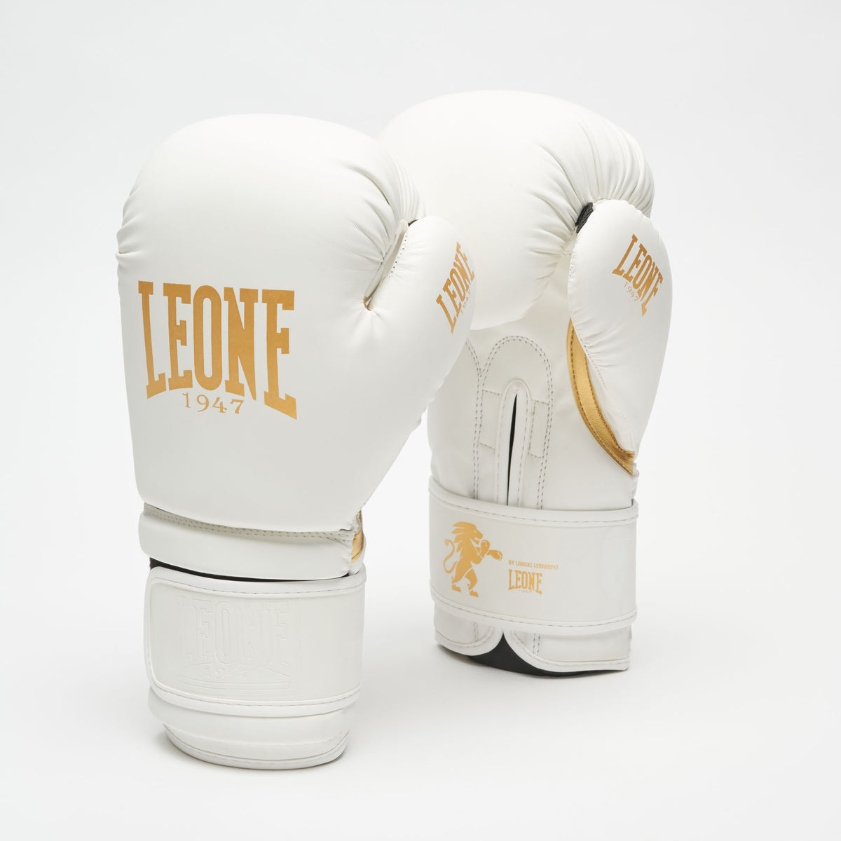 GUANTI BOXE IDOL