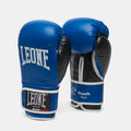 GUANTI BOXE FLASH