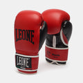 GUANTI BOXE FLASH