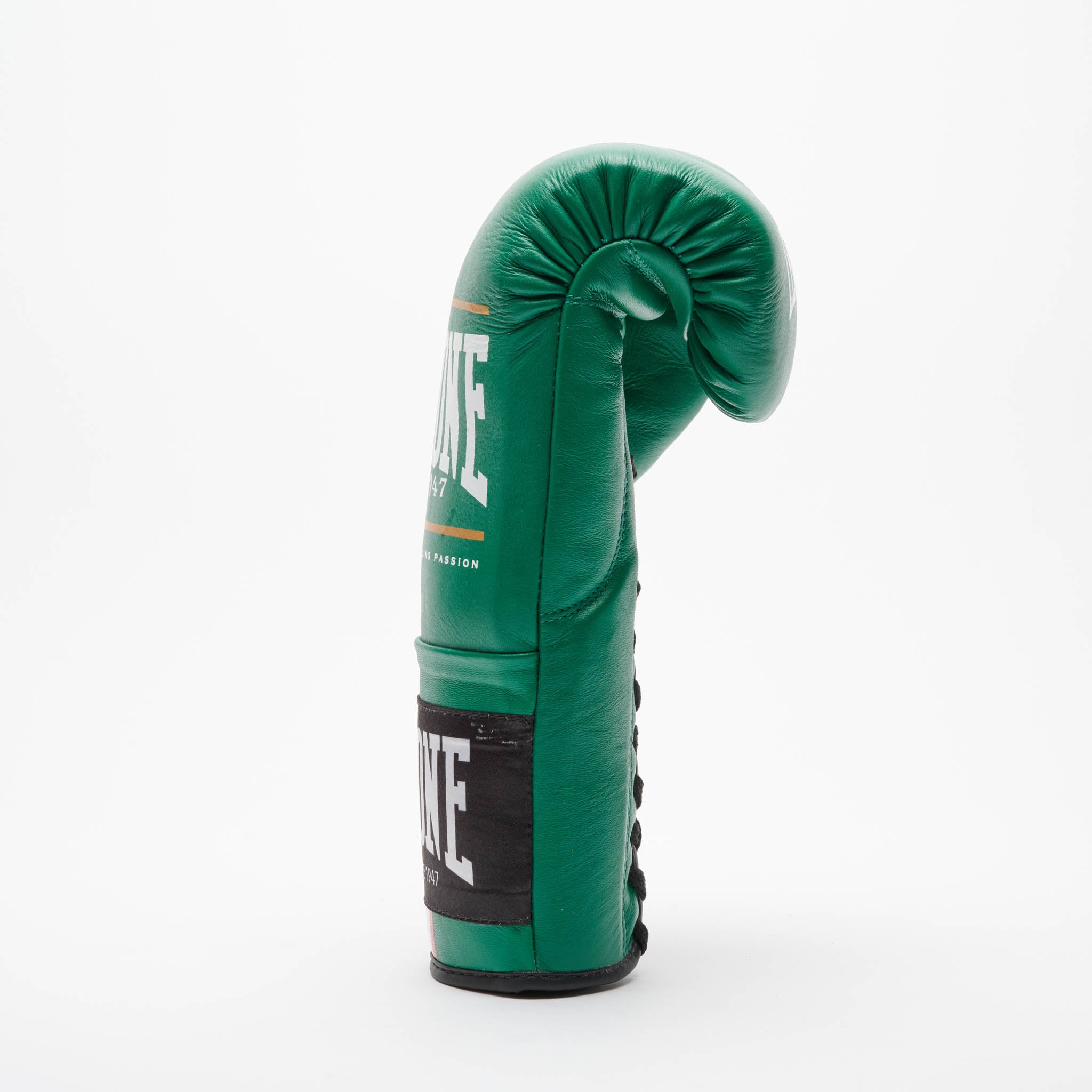 GUANTI BOXE SHOCK PLUS