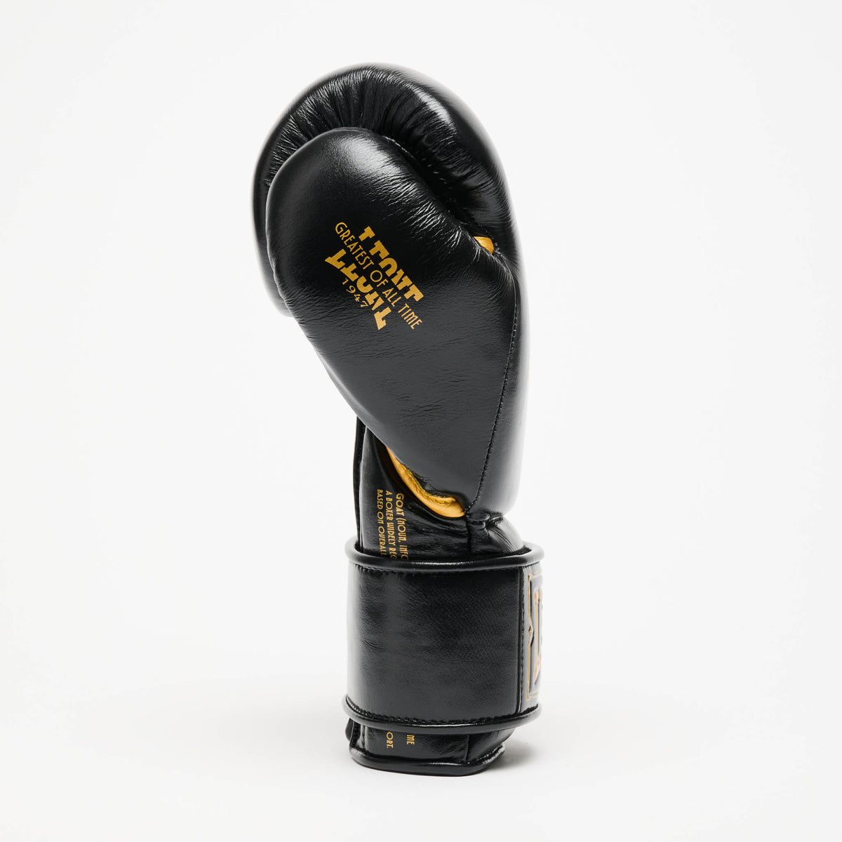 GUANTI DA BOXE GOAT